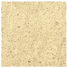 Coatings 09 00439 i003