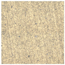 Coatings 09 00439 i004