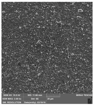 Coatings 09 00439 i007