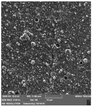 Coatings 09 00439 i008