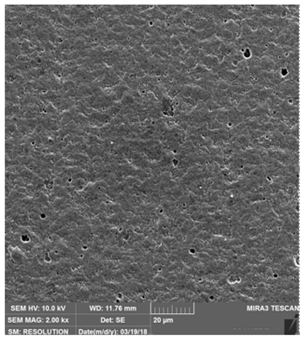 Coatings 09 00439 i009