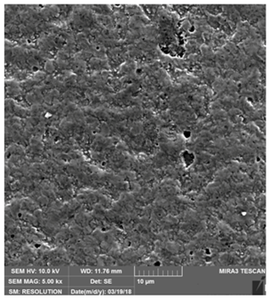 Coatings 09 00439 i010