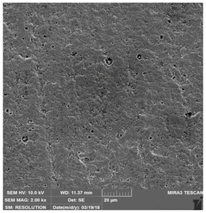 Coatings 09 00439 i011