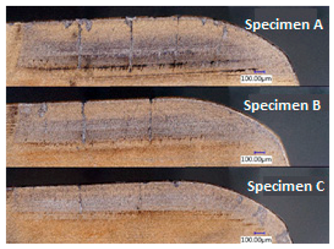 Coatings 09 00439 i014