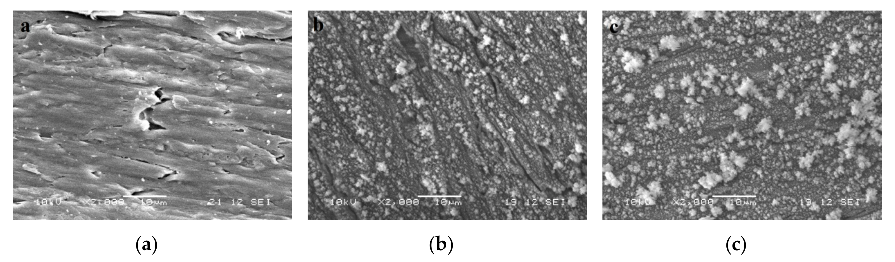 Coatings 09 00441 g003