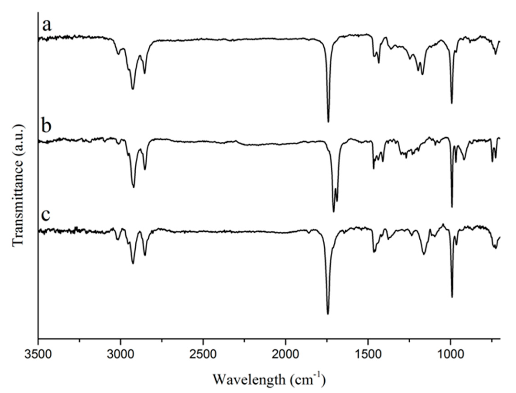 Coatings 09 00447 g001