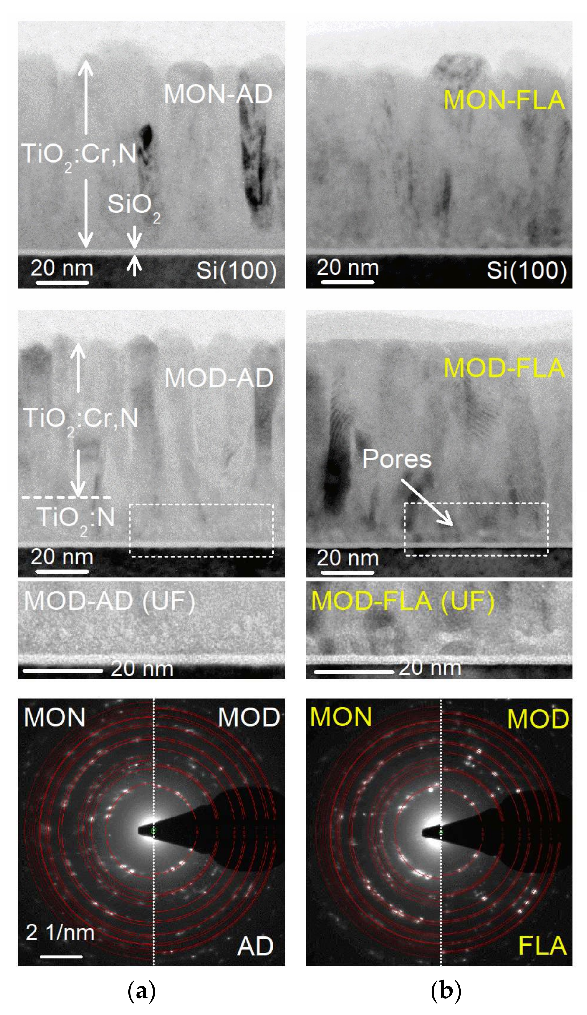 Coatings 09 00448 g006