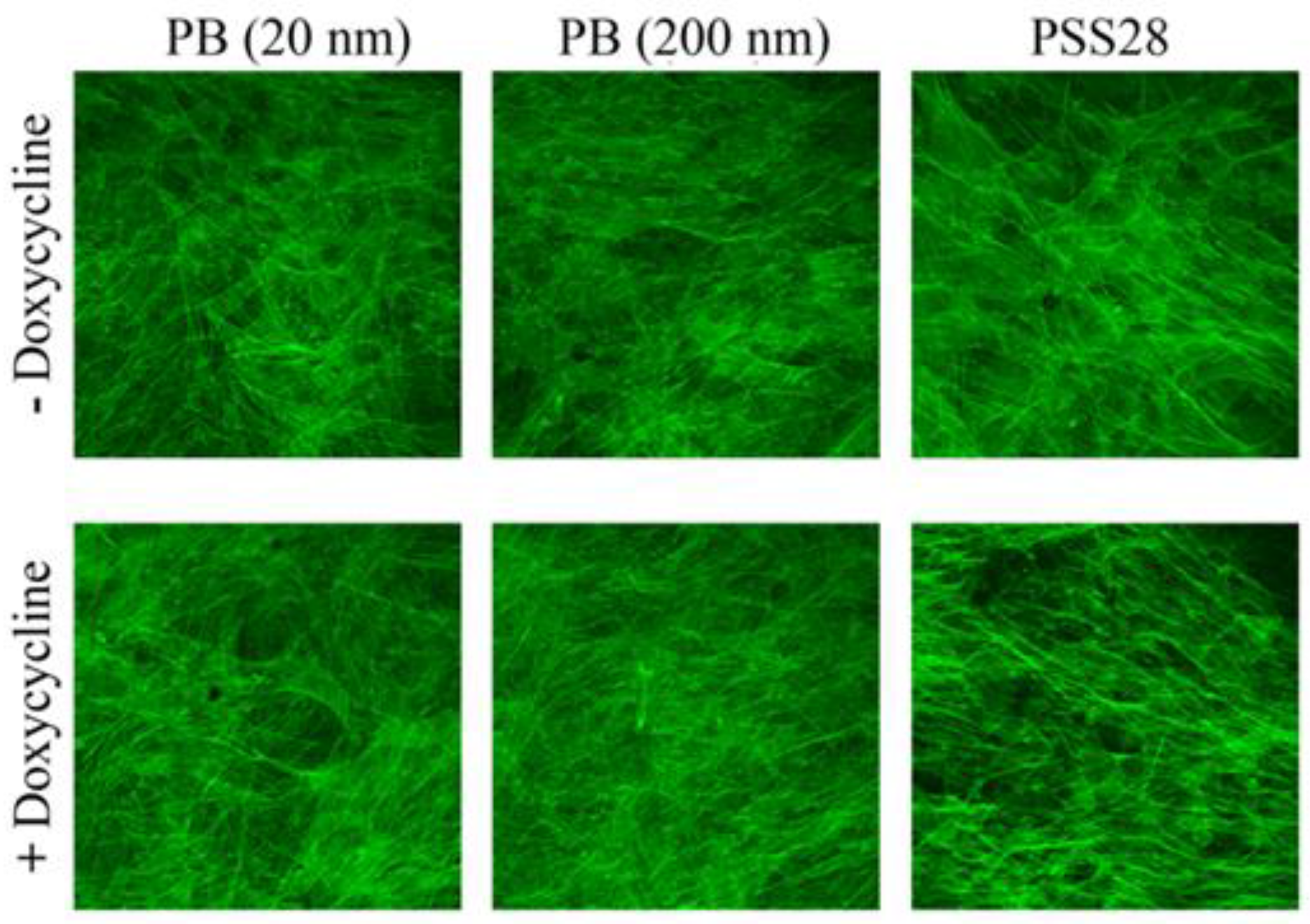 Coatings 09 00451 g001