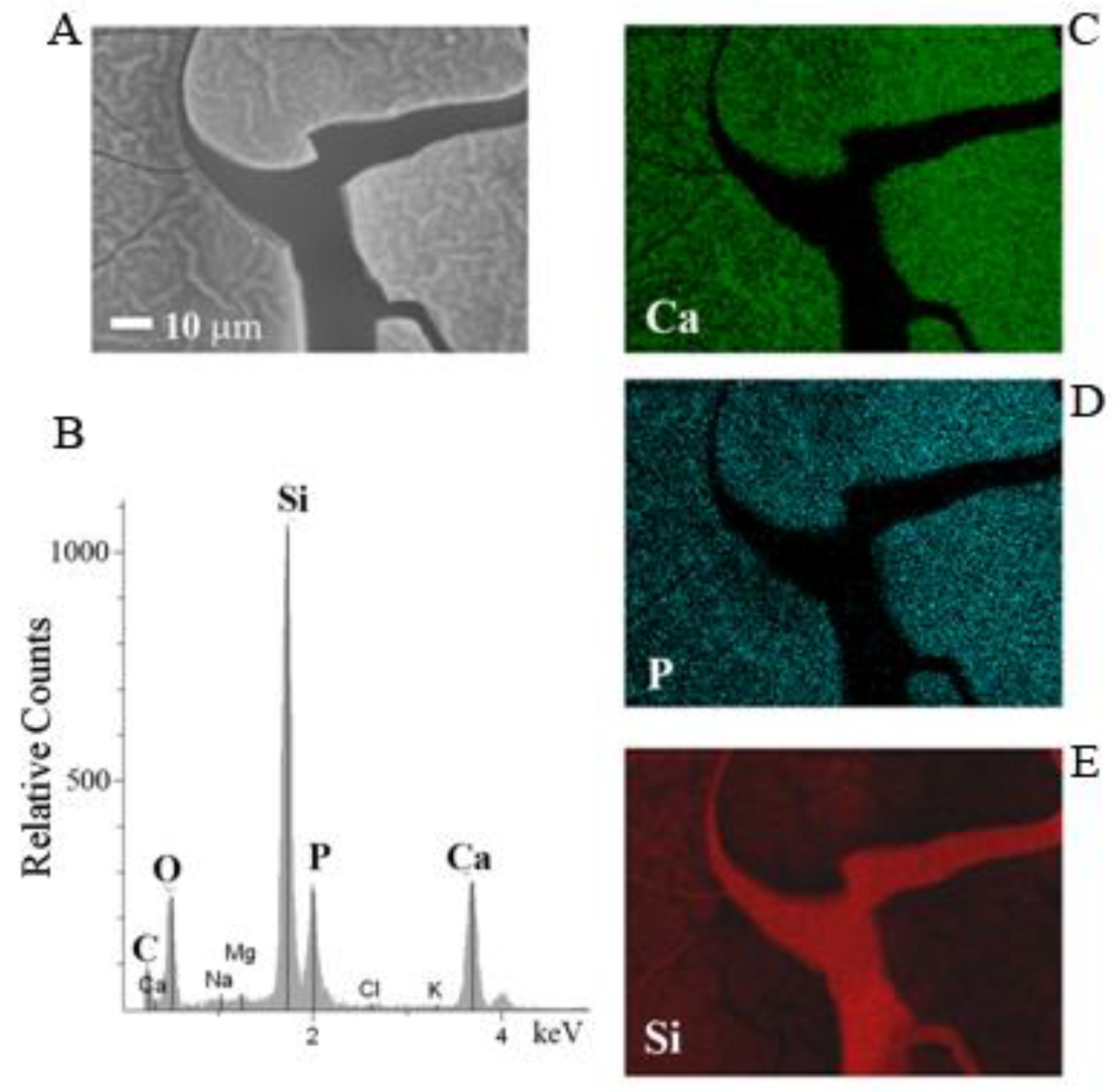 Coatings 09 00451 g005