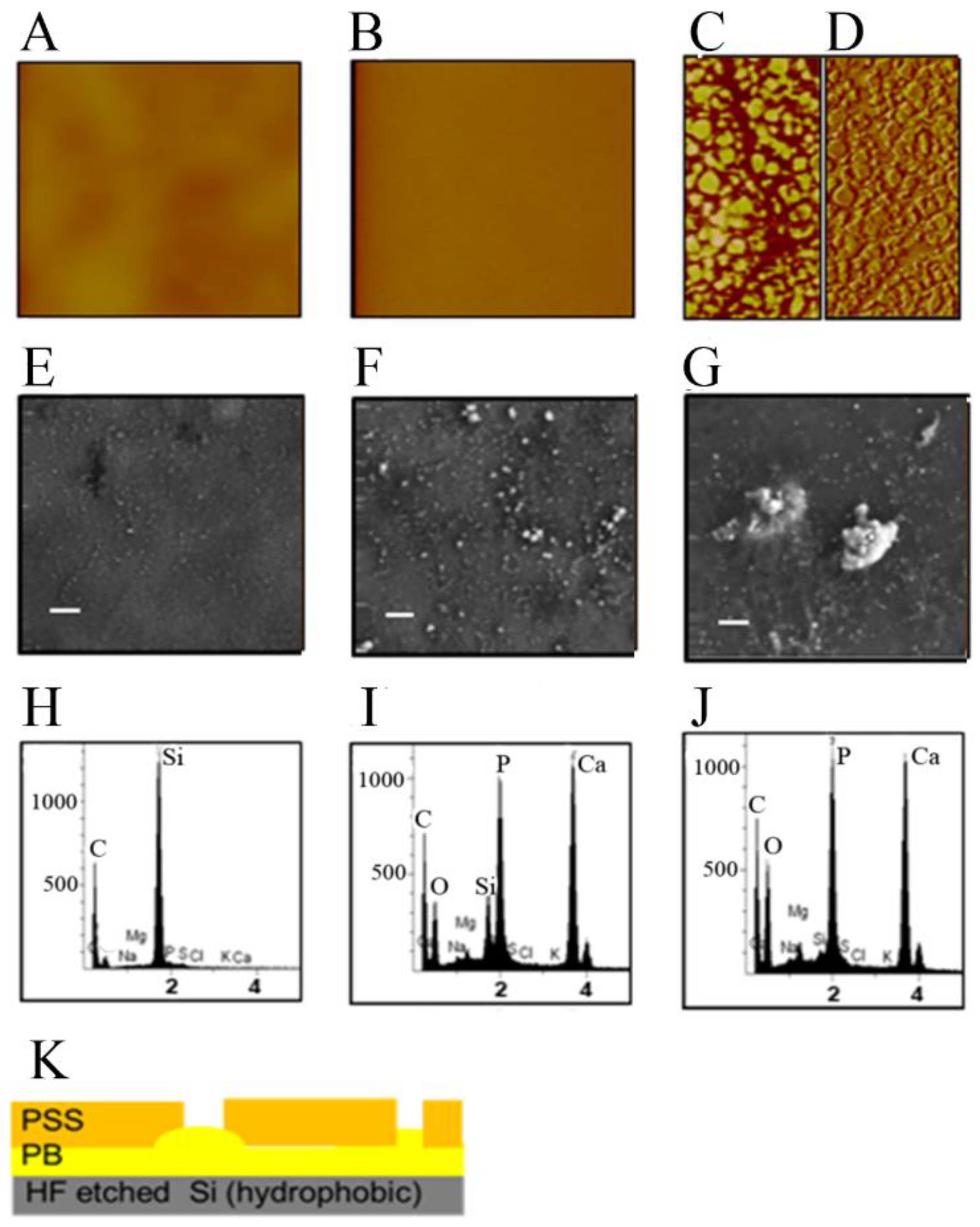Coatings 09 00451 g006