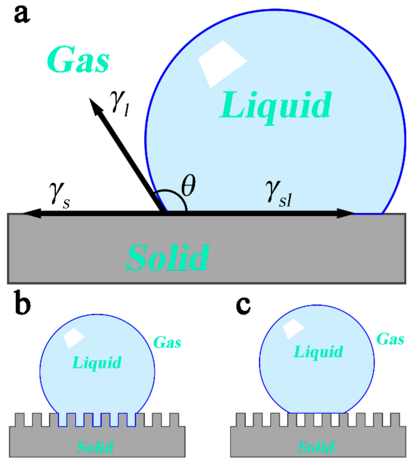 Coatings 09 00452 g001