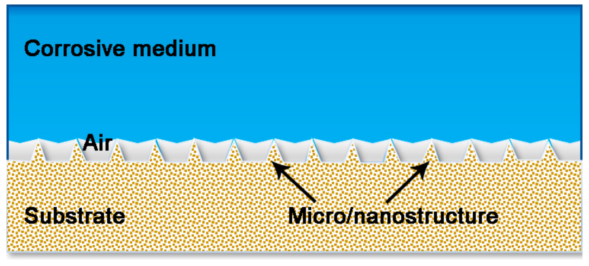 Coatings 09 00452 g002