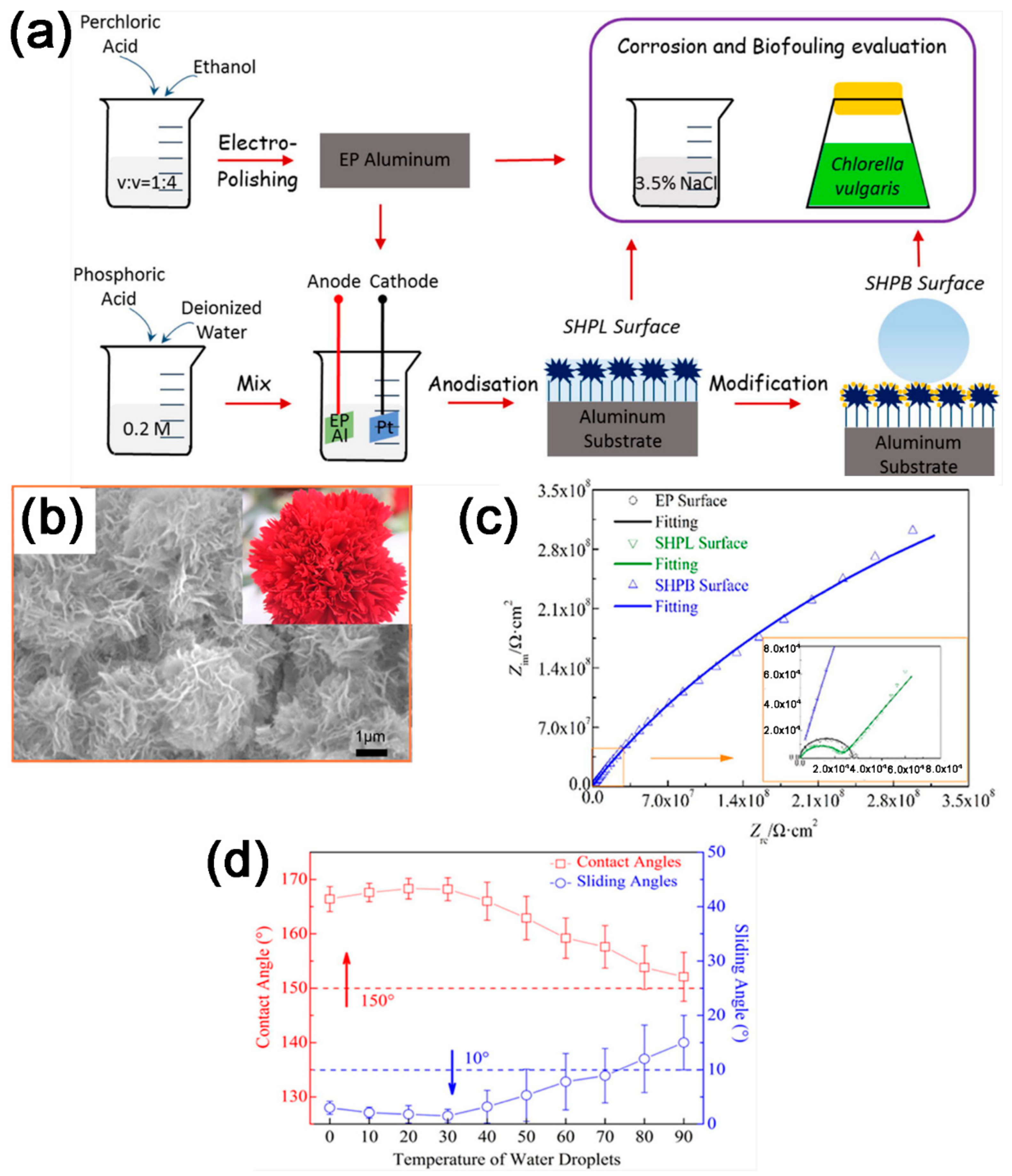 Coatings 09 00452 g004