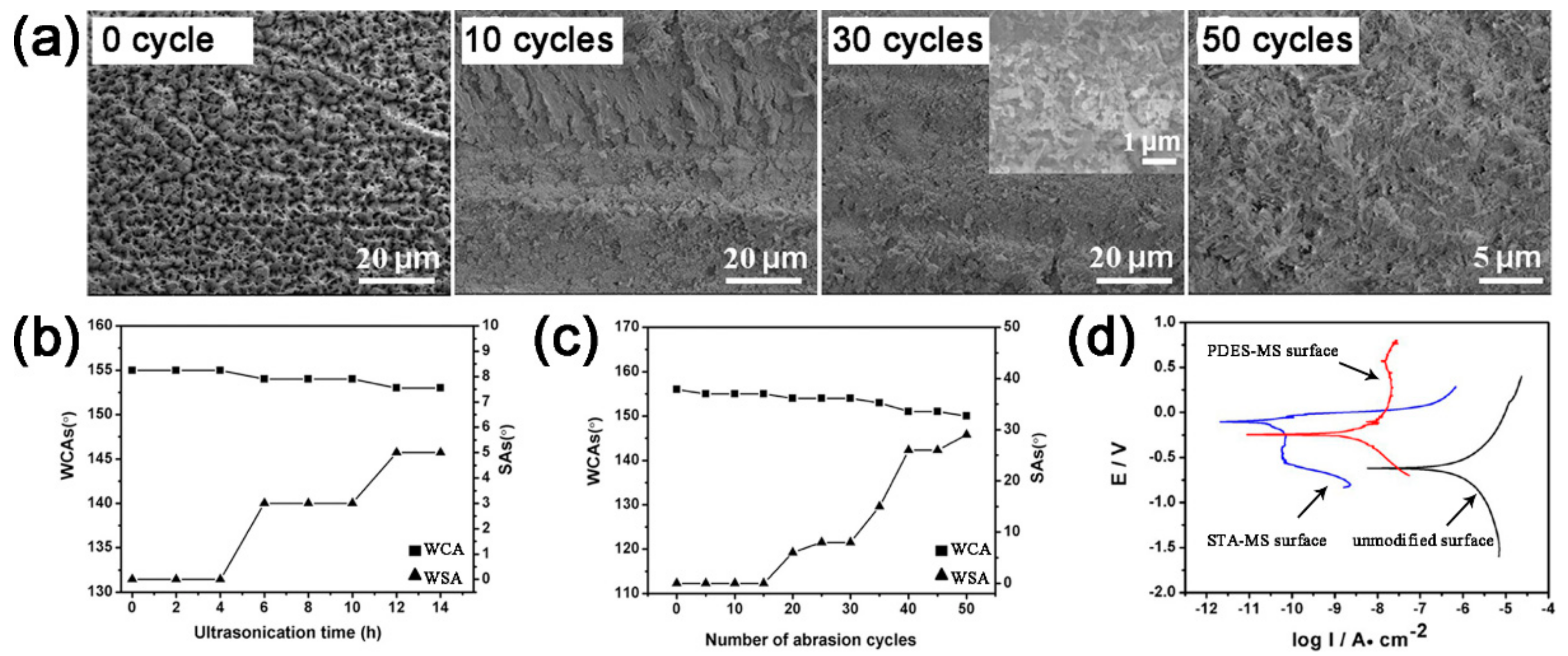 Coatings 09 00452 g005