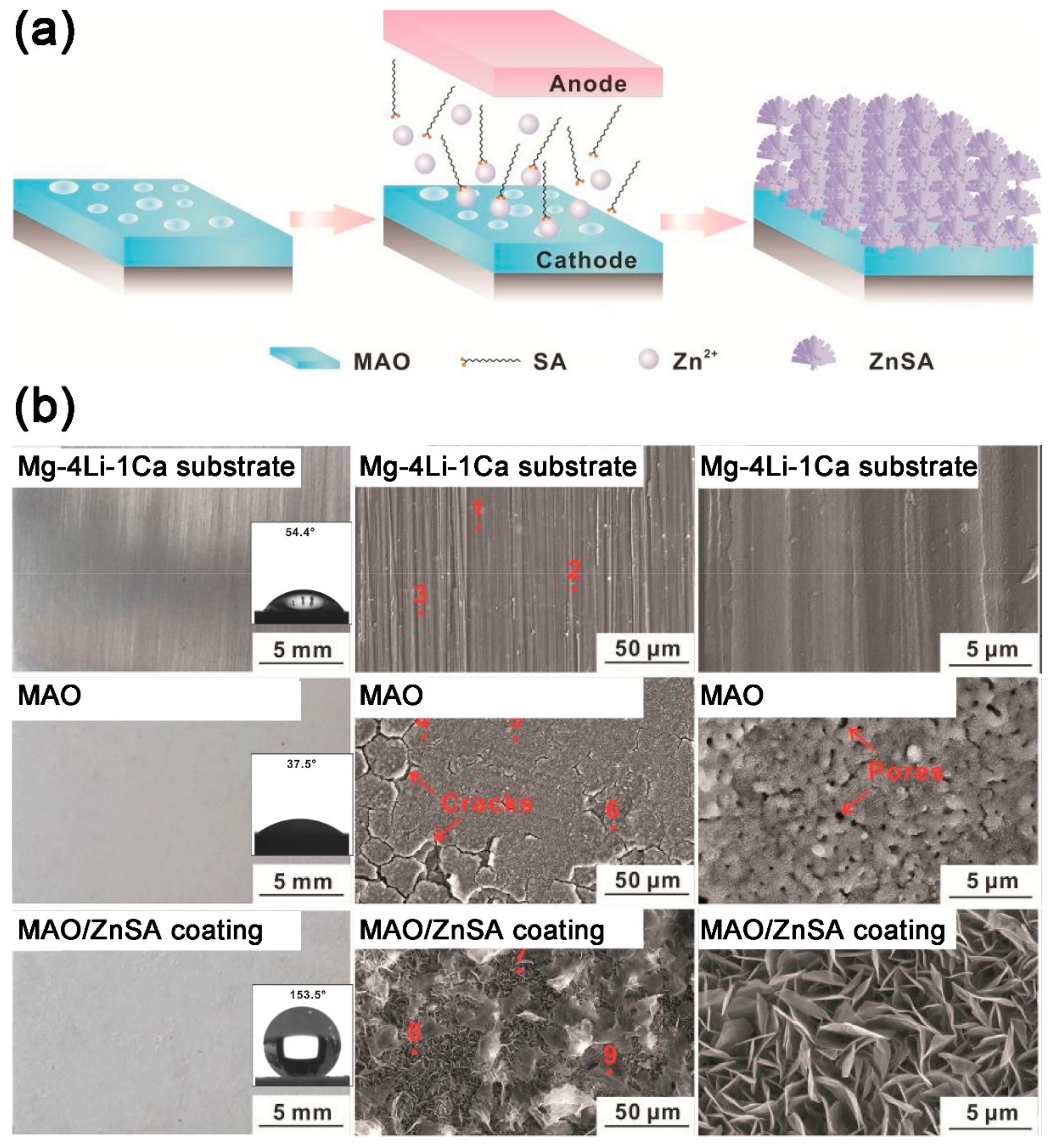 Coatings 09 00452 g007