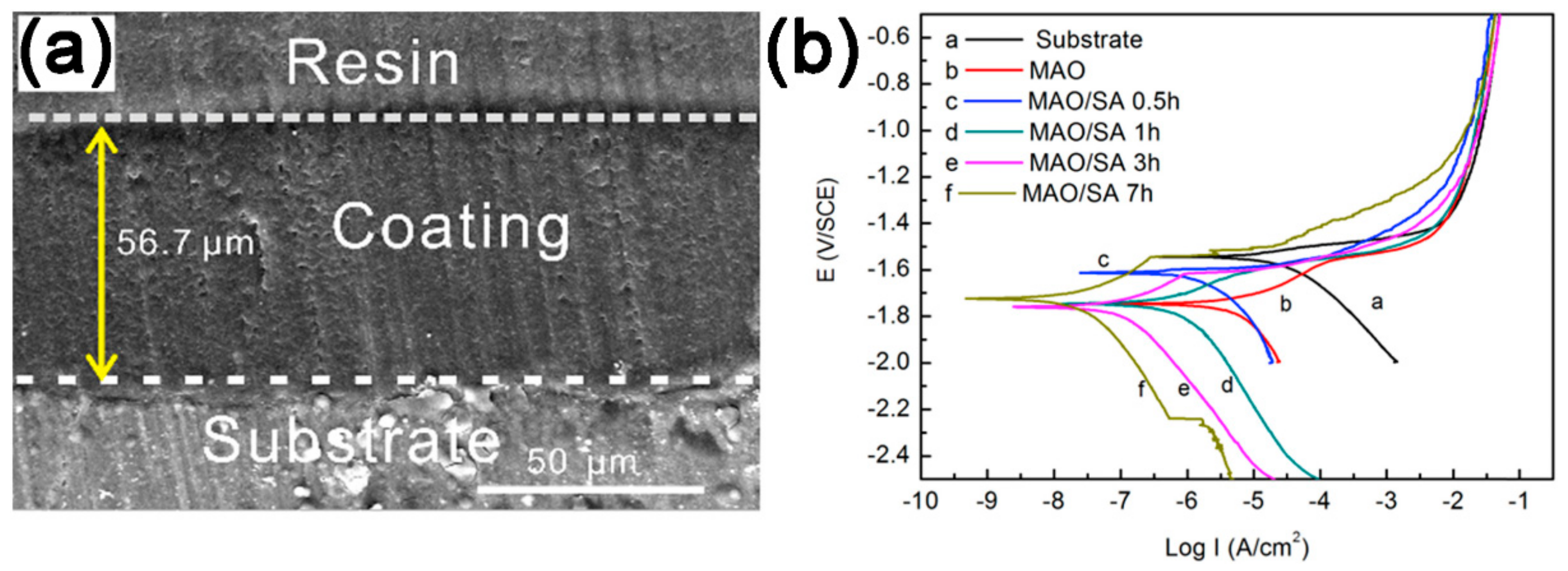 Coatings 09 00452 g008