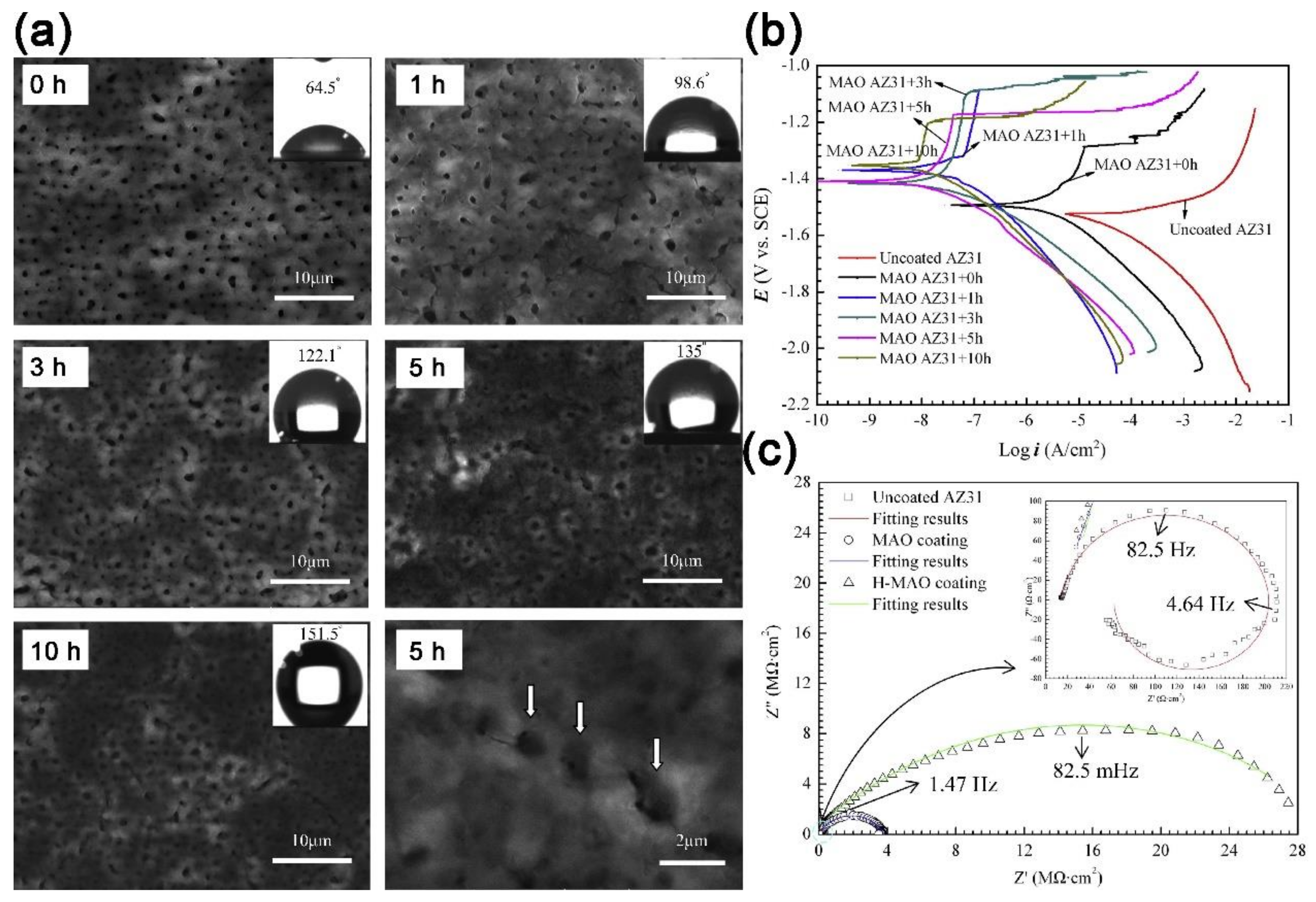 Coatings 09 00452 g009