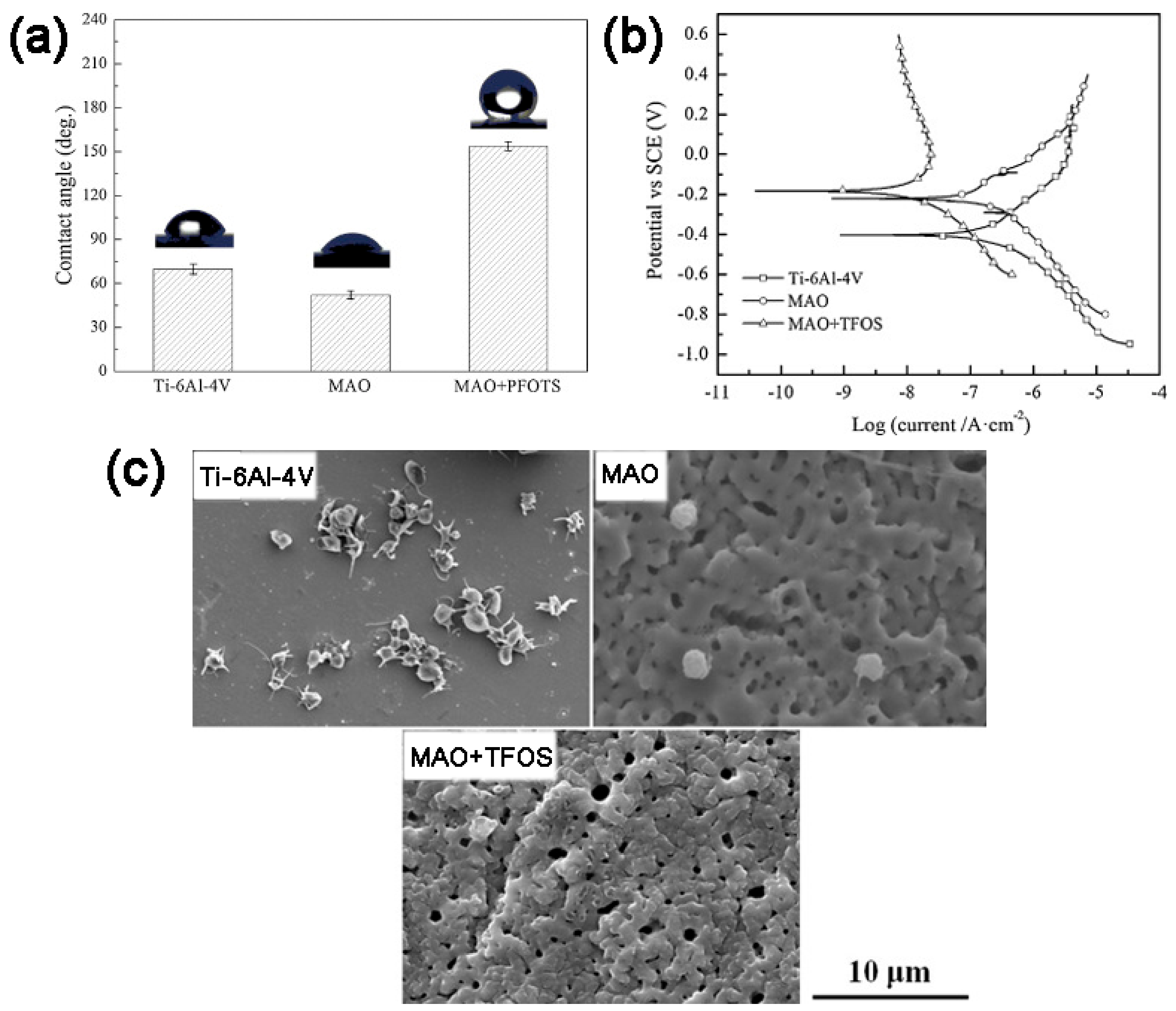 Coatings 09 00452 g010