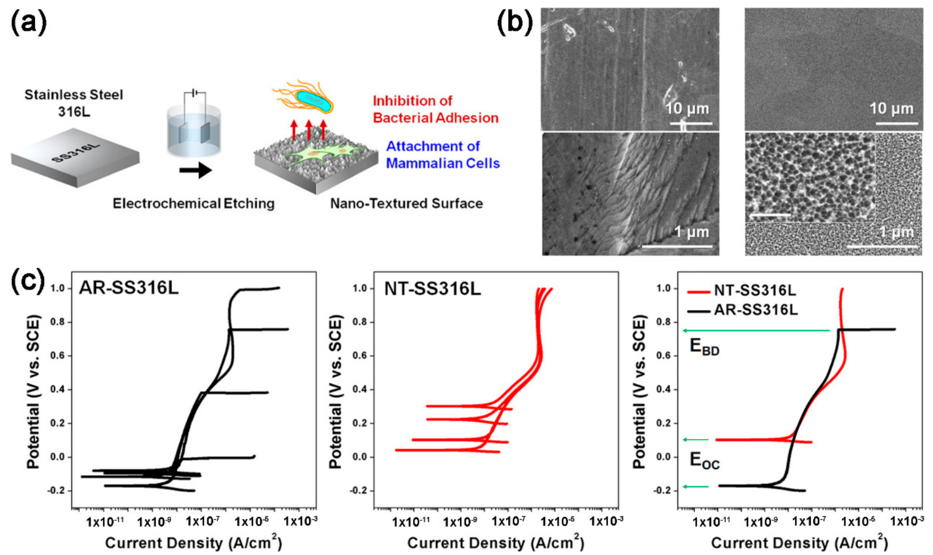 Coatings 09 00452 g012