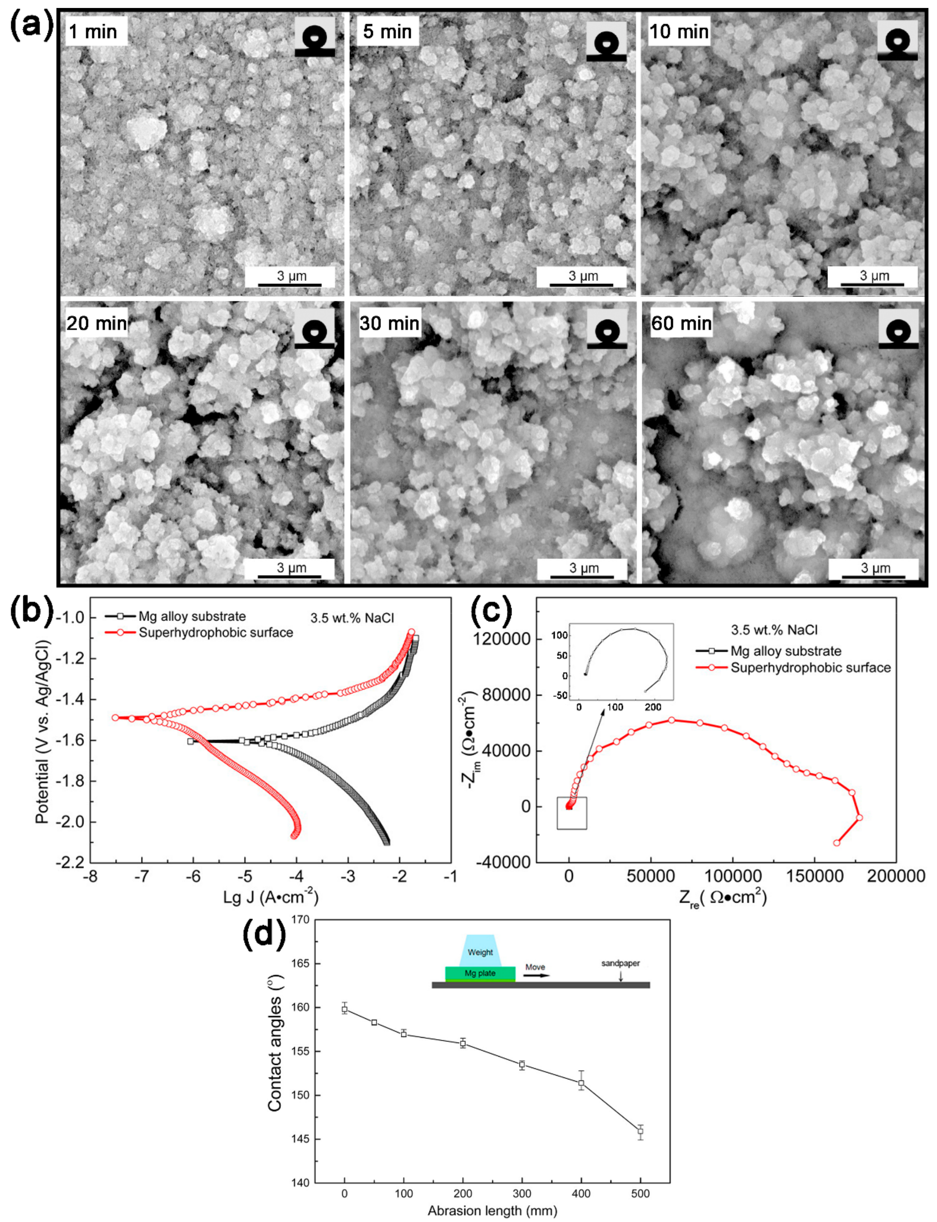 Coatings 09 00452 g013