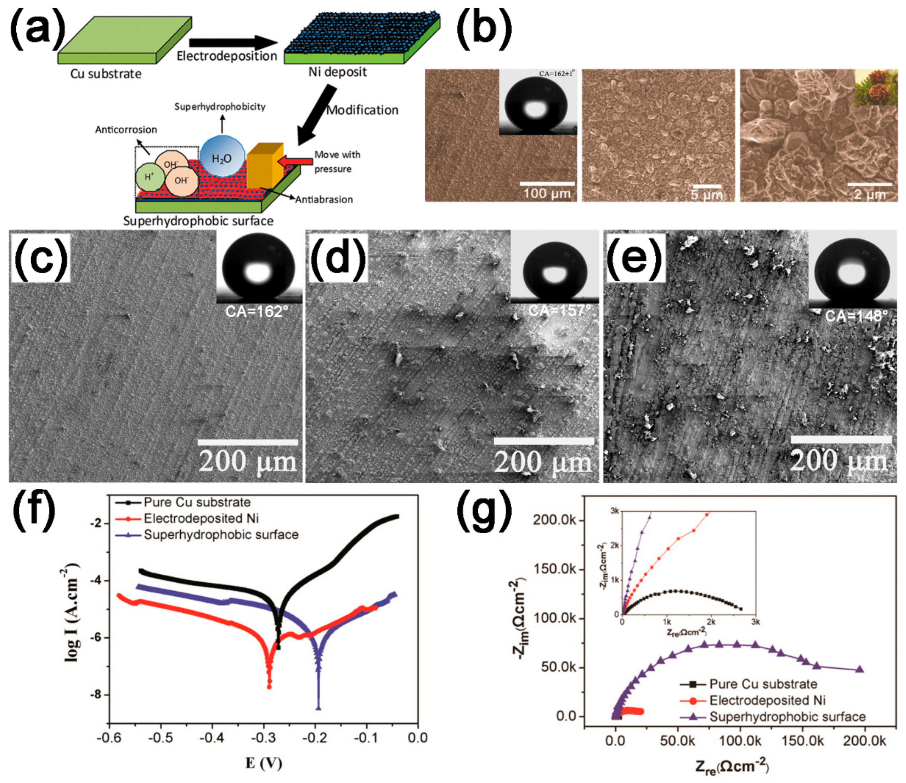 Coatings 09 00452 g014