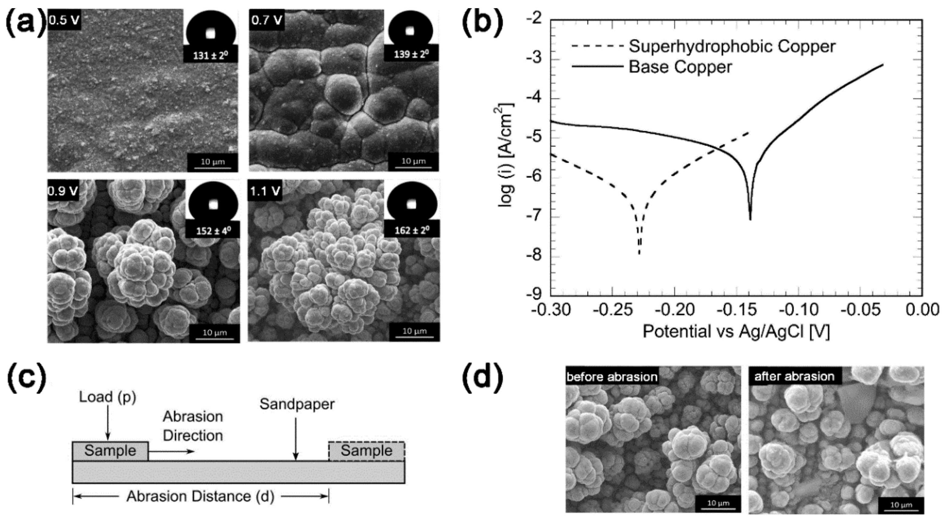 Coatings 09 00452 g015