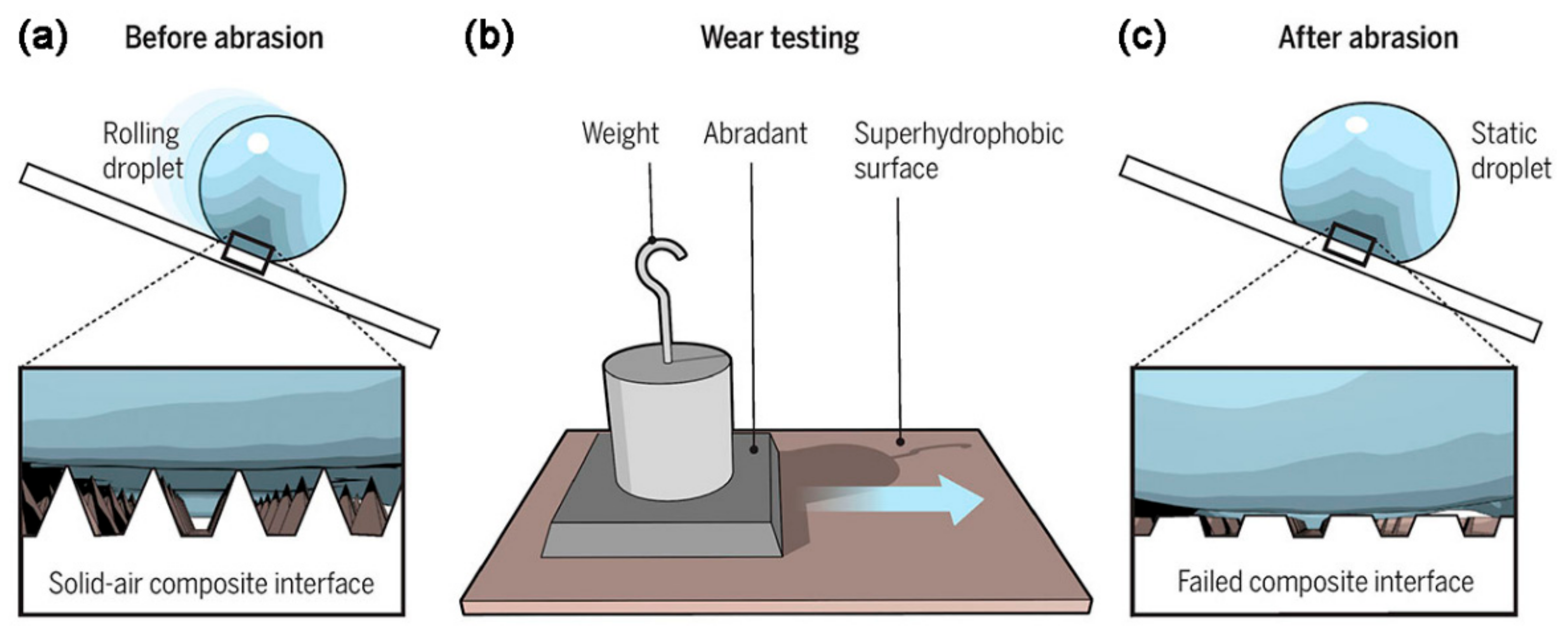 Coatings 09 00452 g016