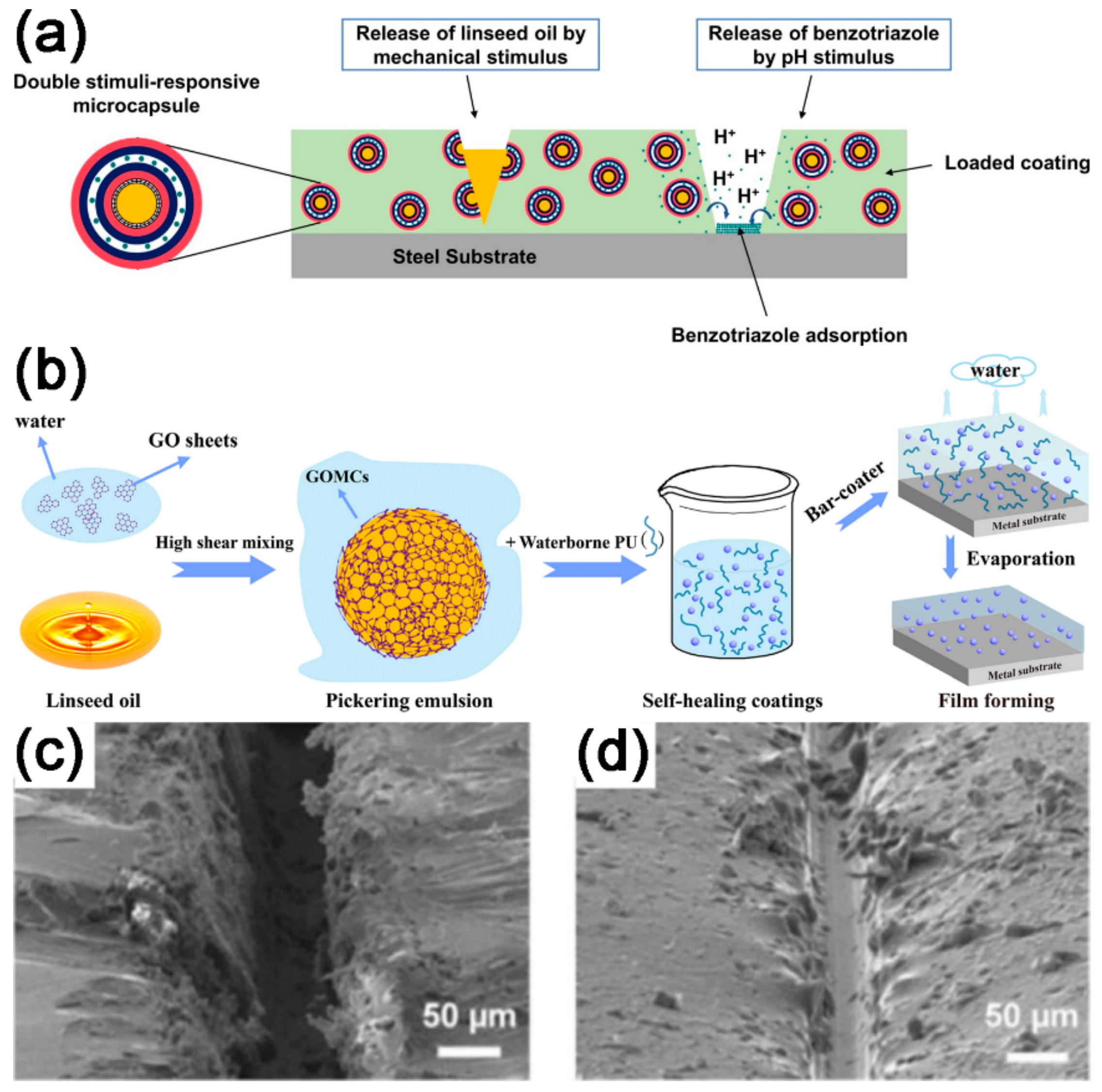 Coatings 09 00452 g019