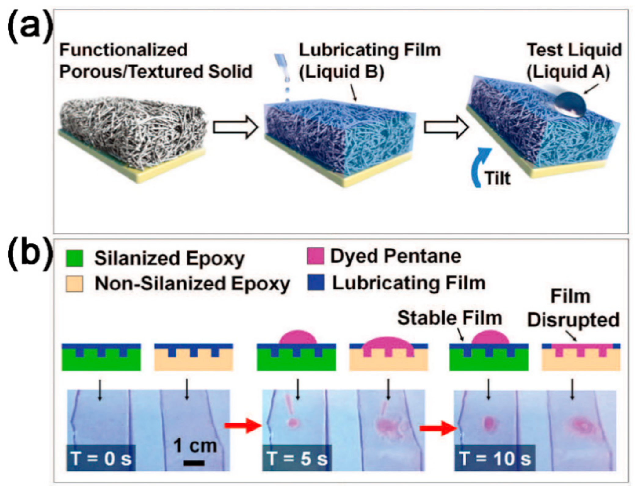 Coatings 09 00452 g020