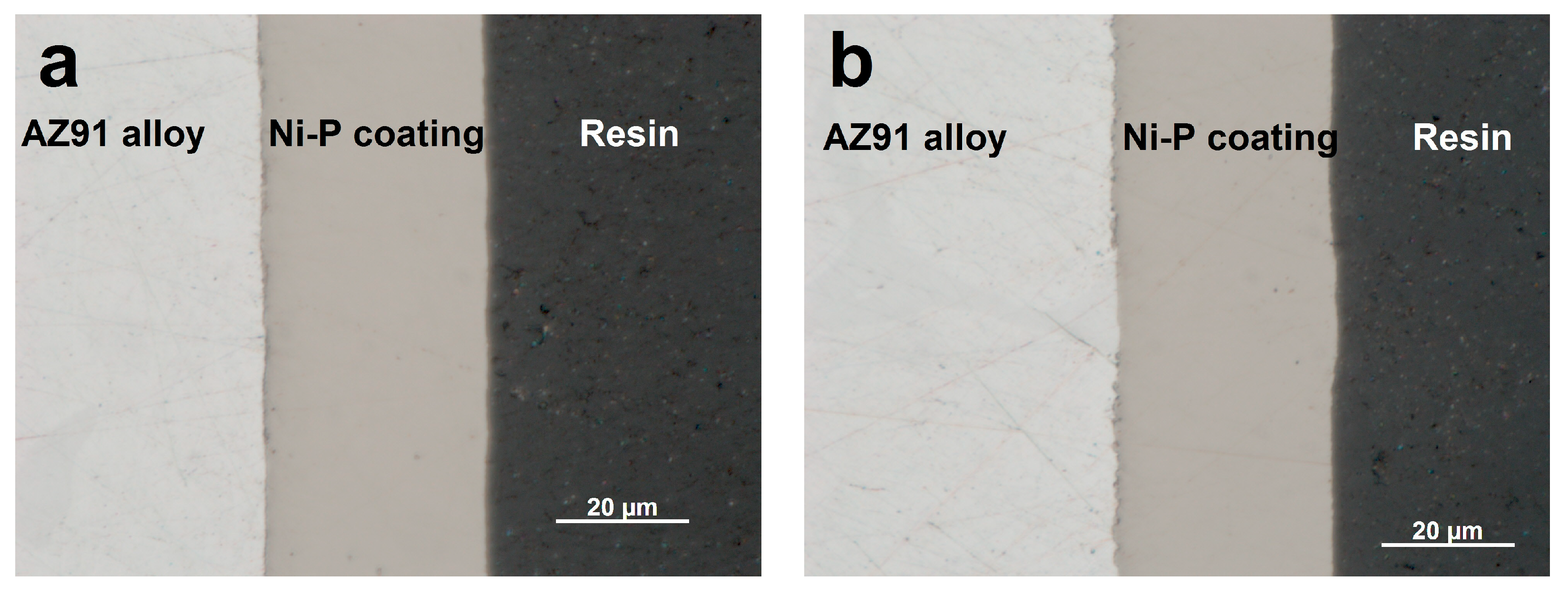 Coatings 09 00461 g001