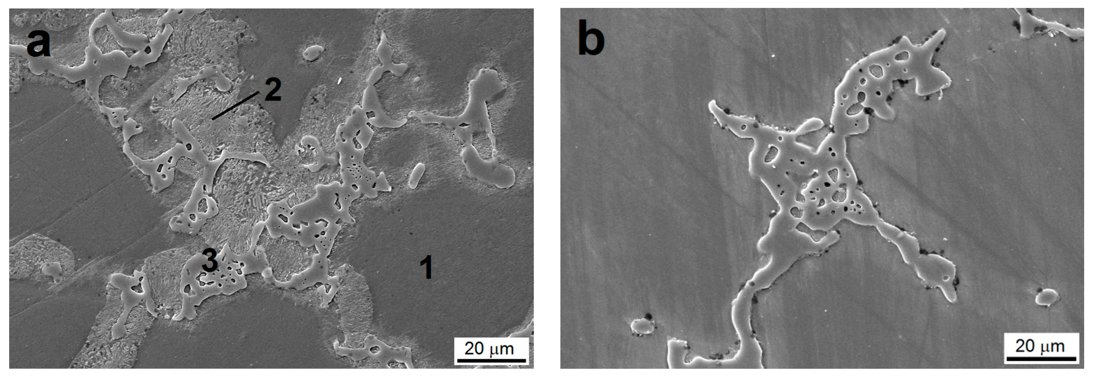Coatings 09 00461 g002