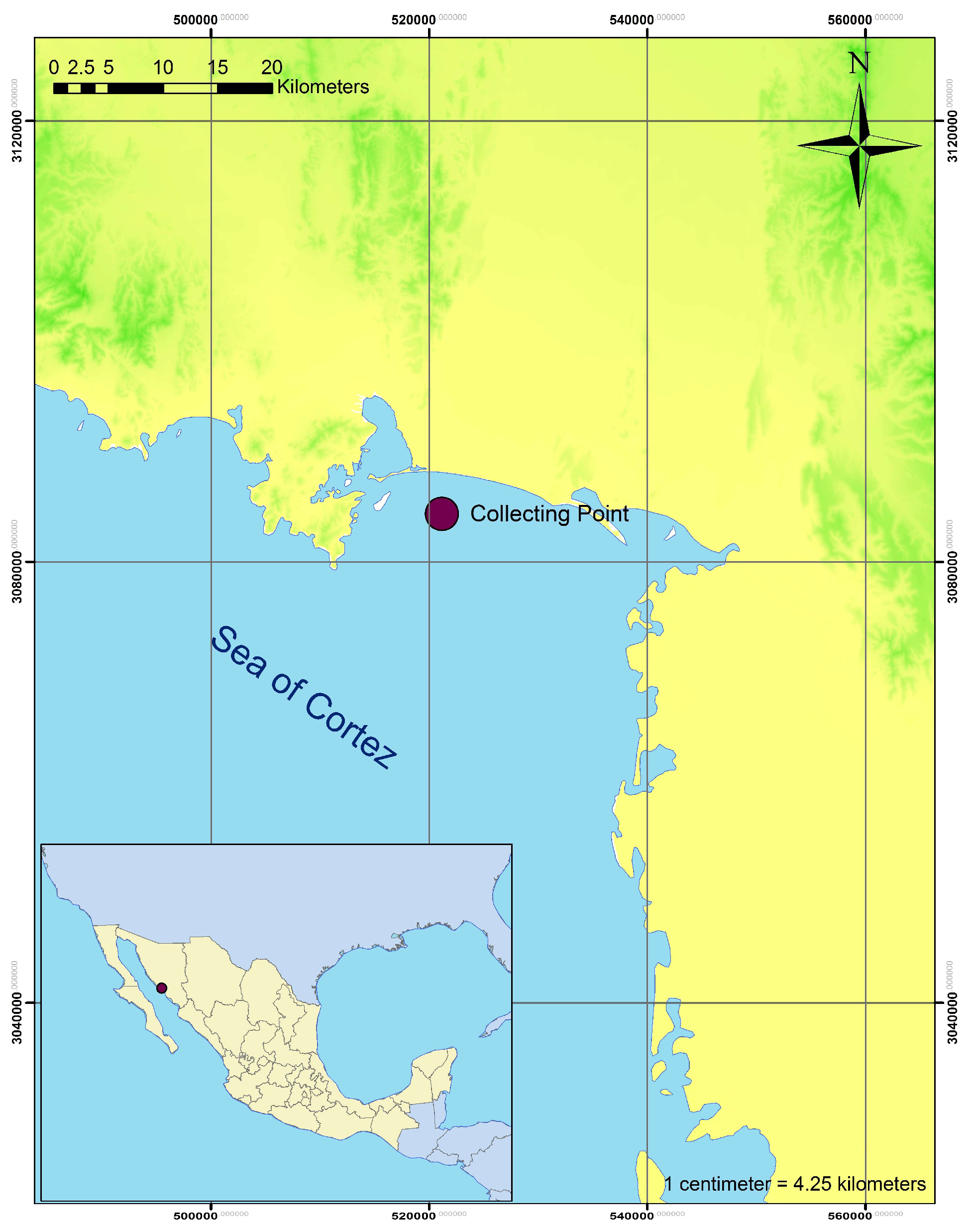 Coatings 09 00462 g001