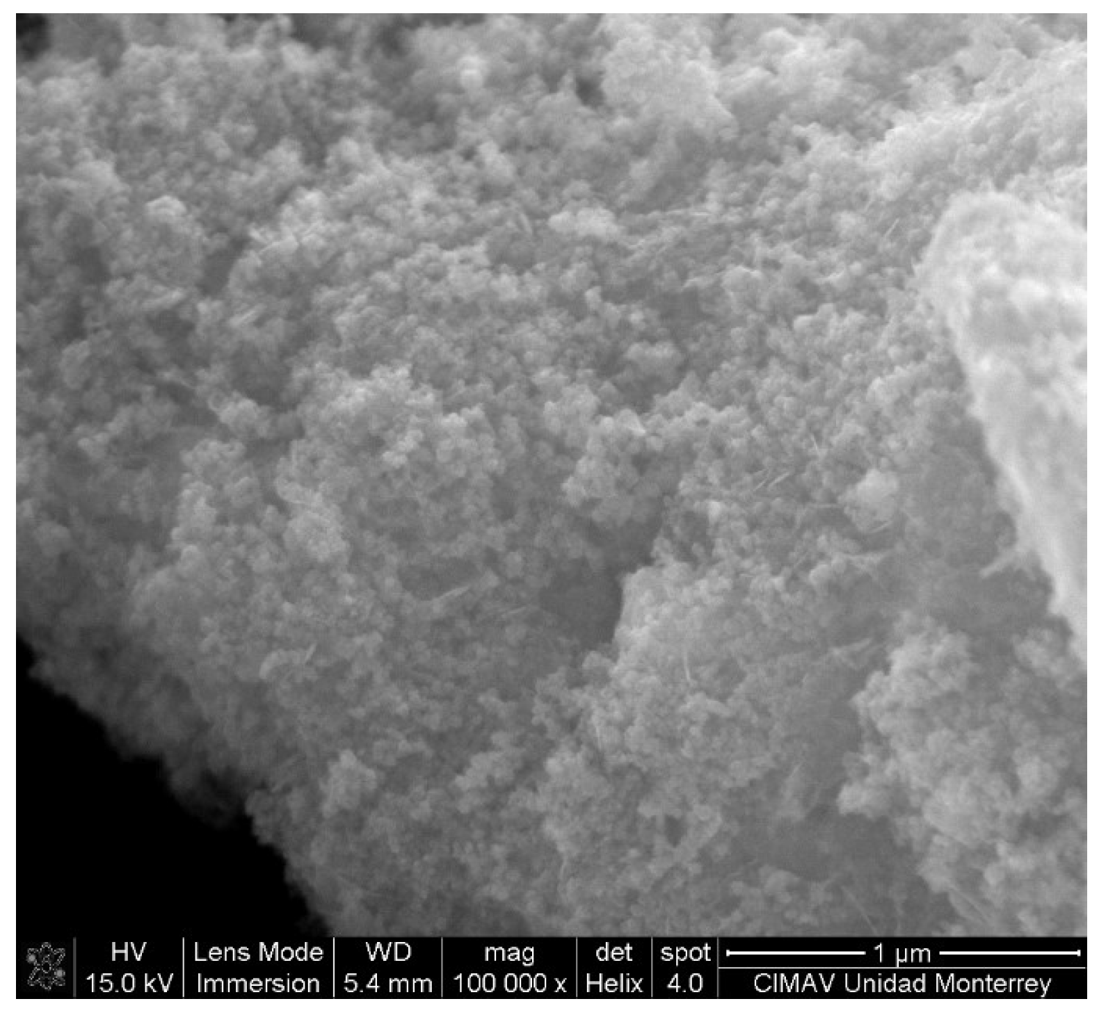 Coatings 09 00462 g006