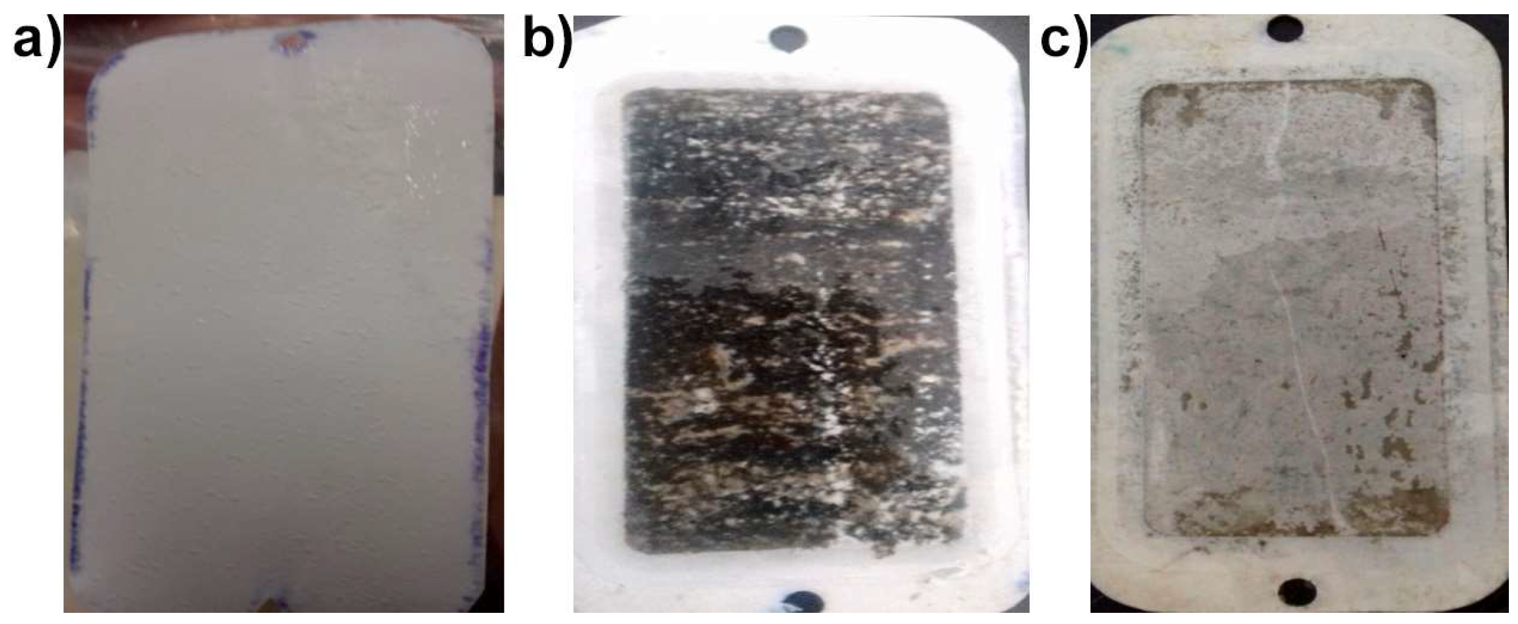 Coatings 09 00462 g008