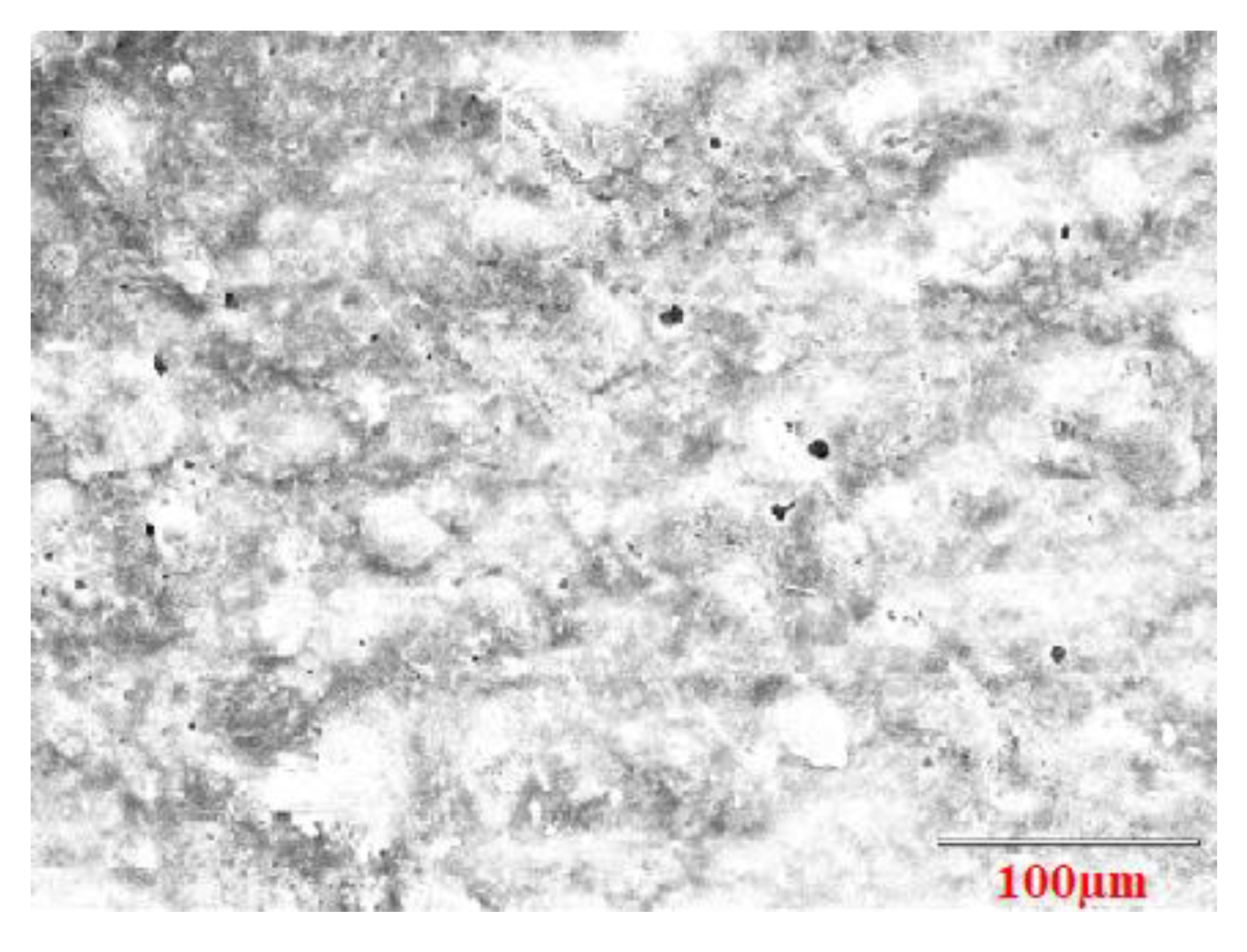 Coatings 09 00463 g010