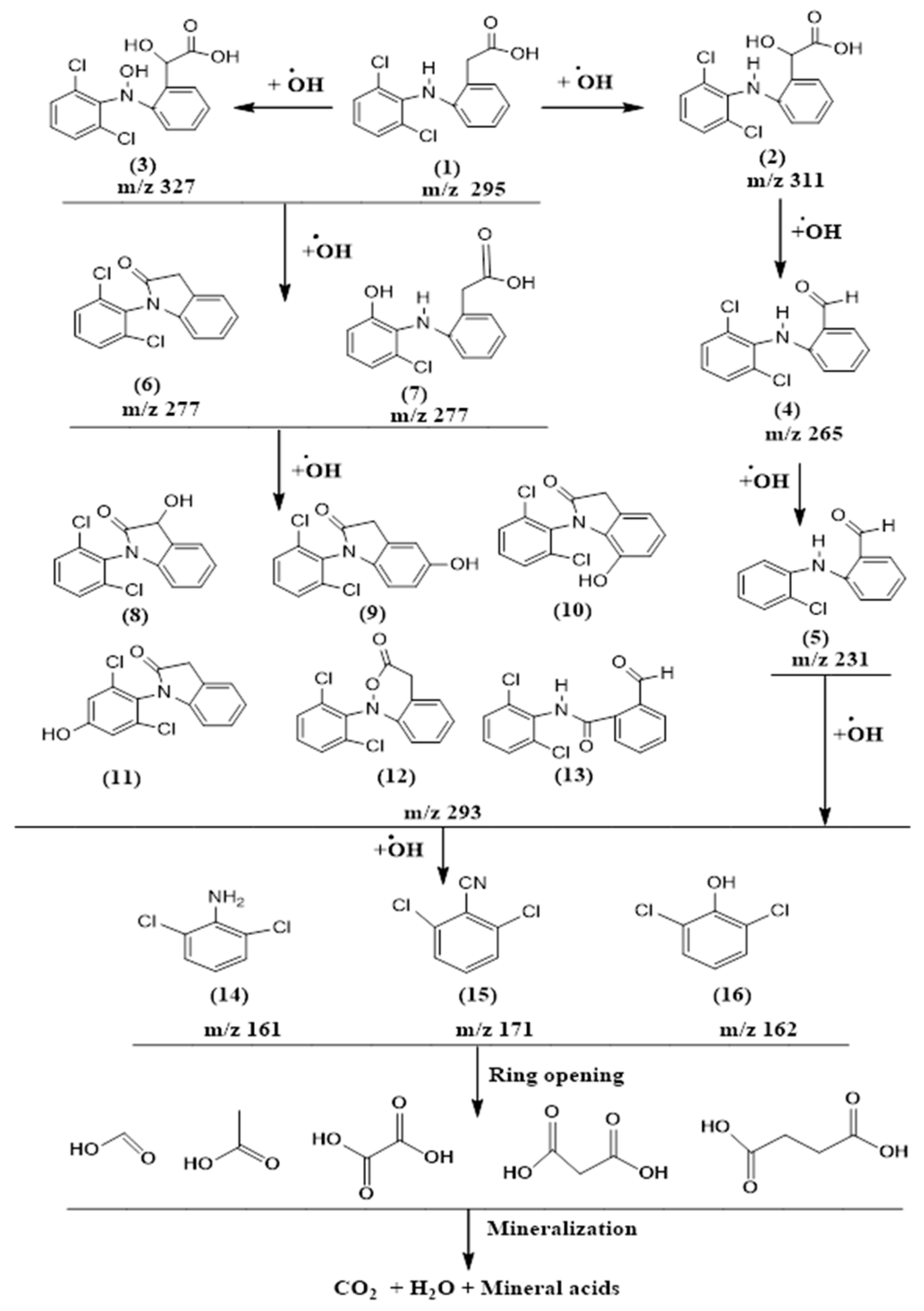 Coatings 09 00465 g004