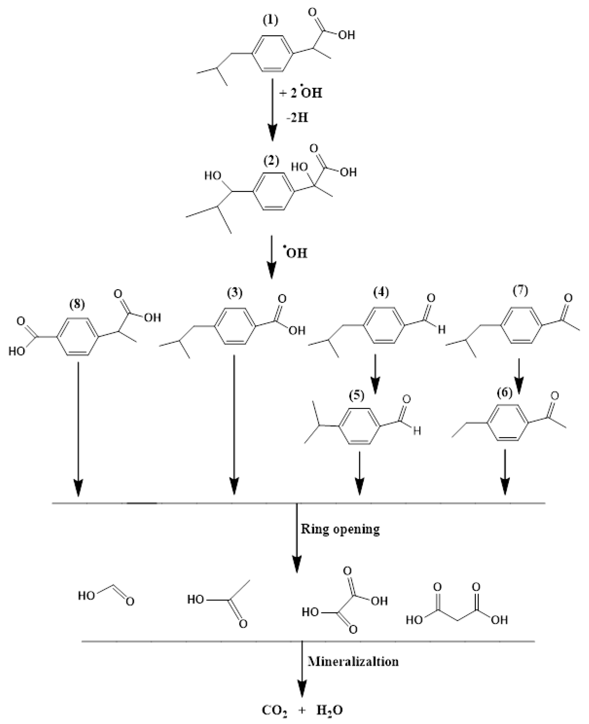 Coatings 09 00465 g005