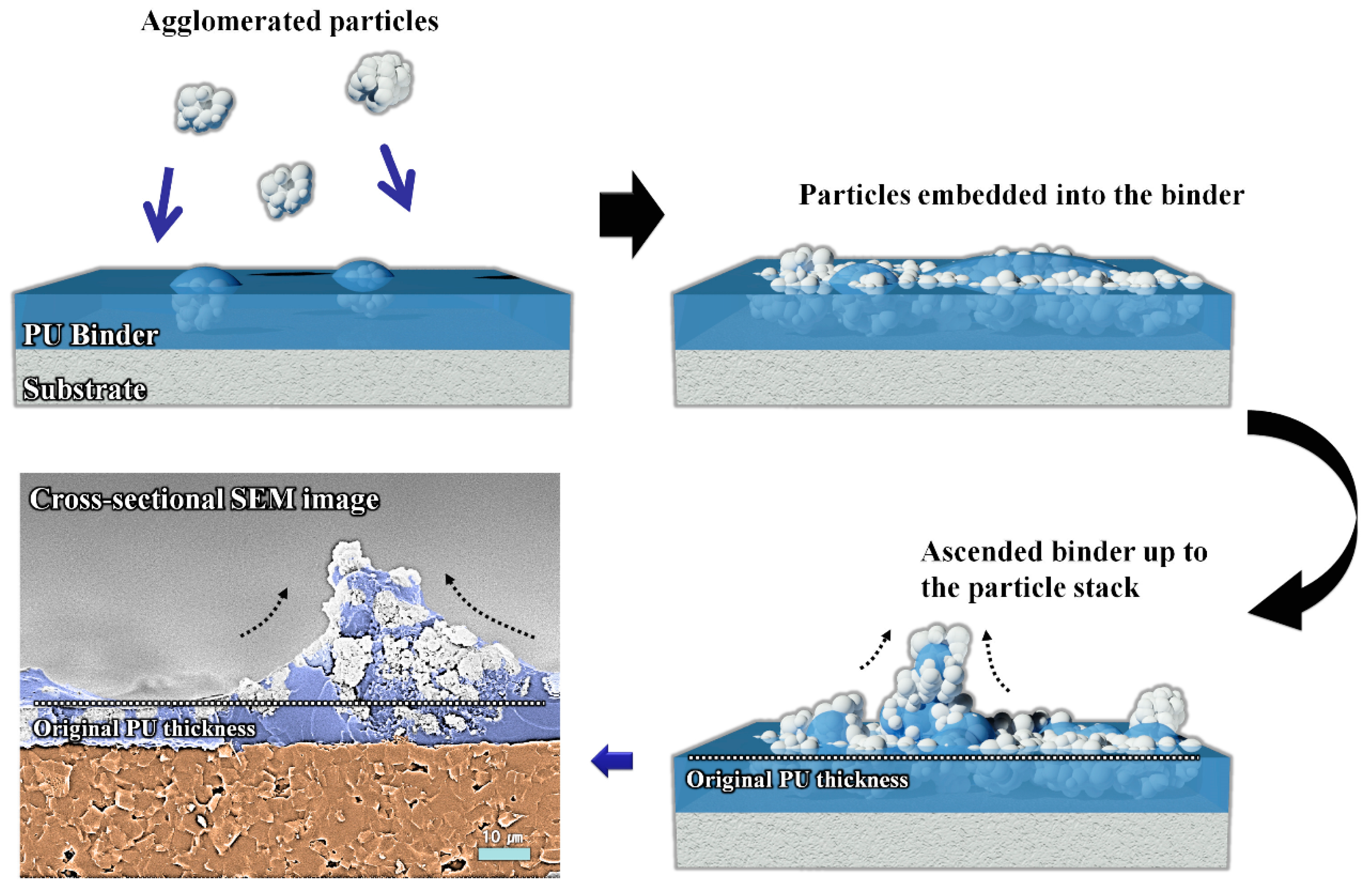 Coatings 09 00472 g003