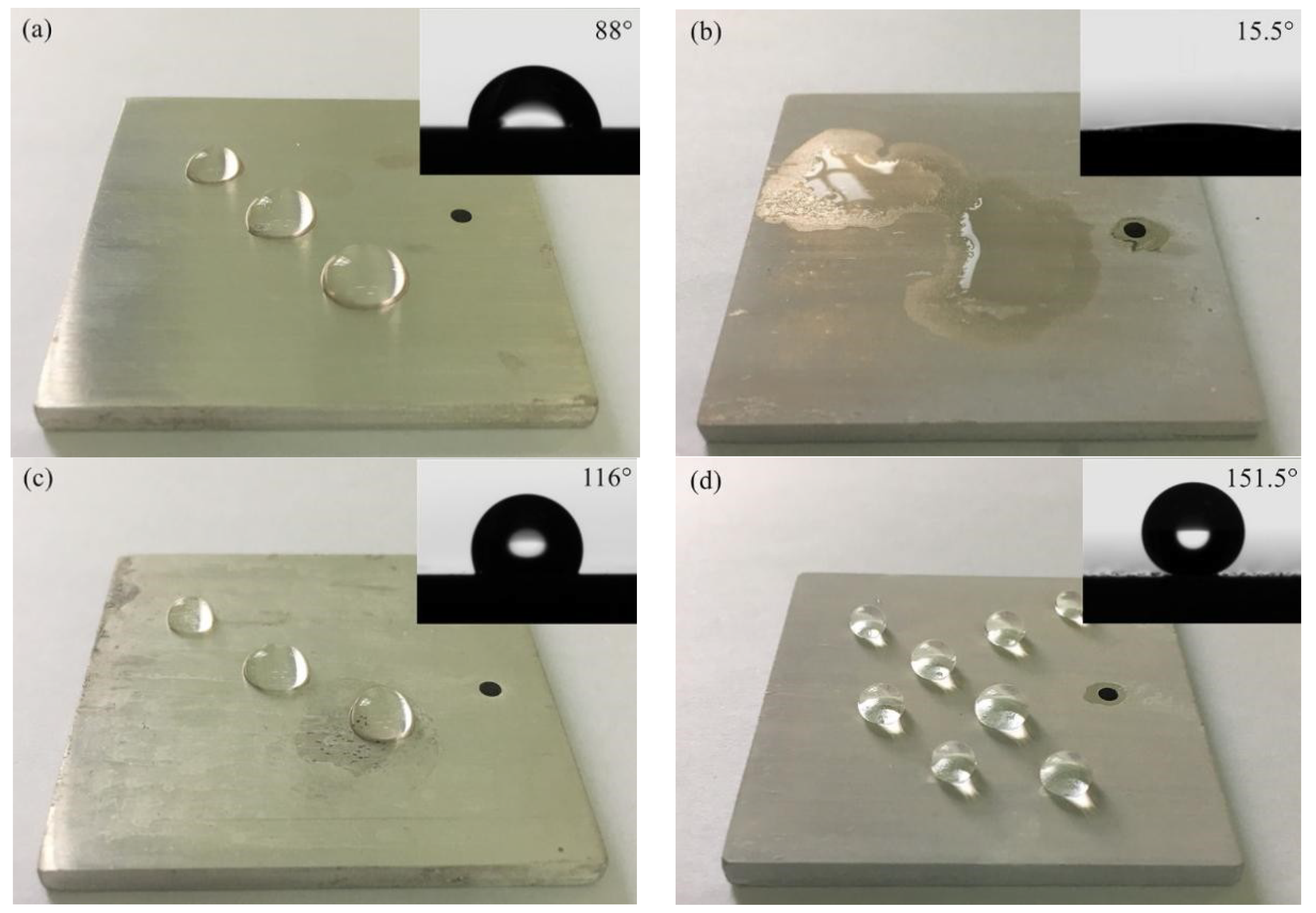 Coatings 09 00477 g007