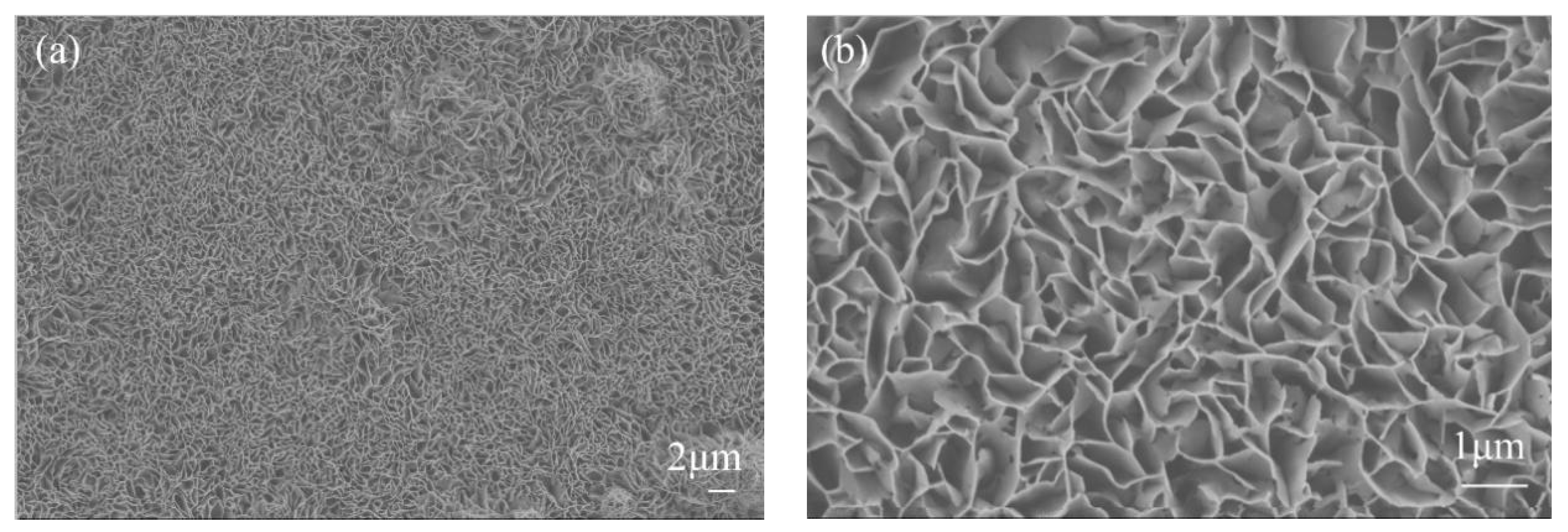 Coatings 09 00477 g008a