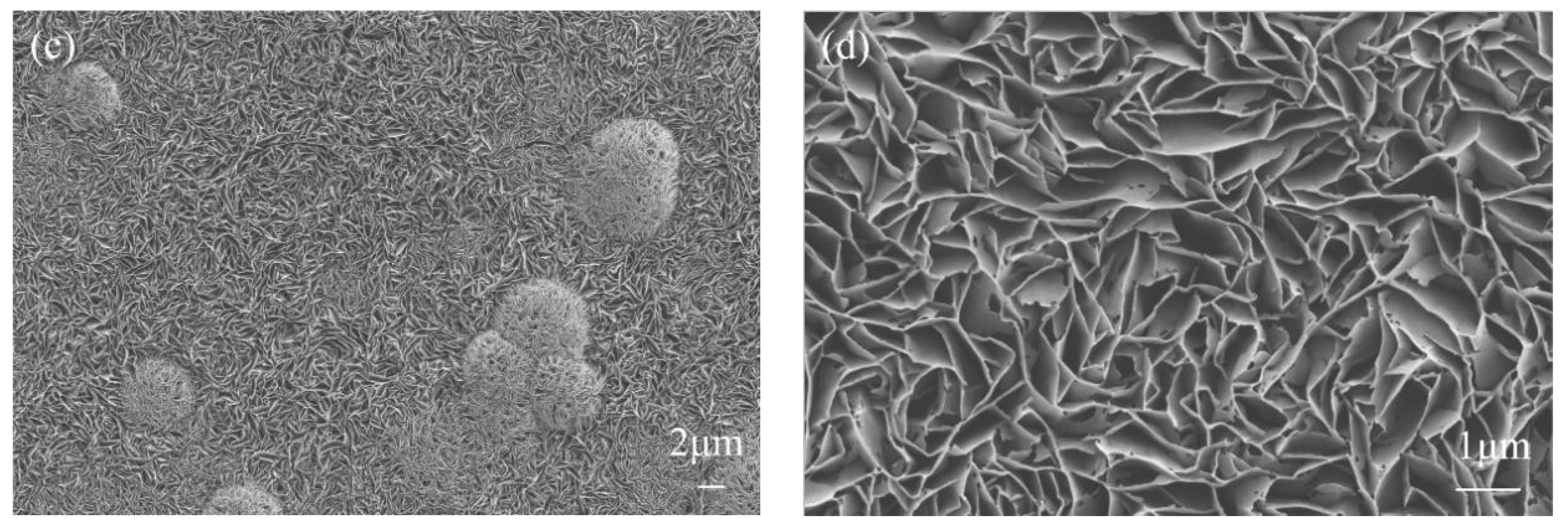 Coatings 09 00477 g008b