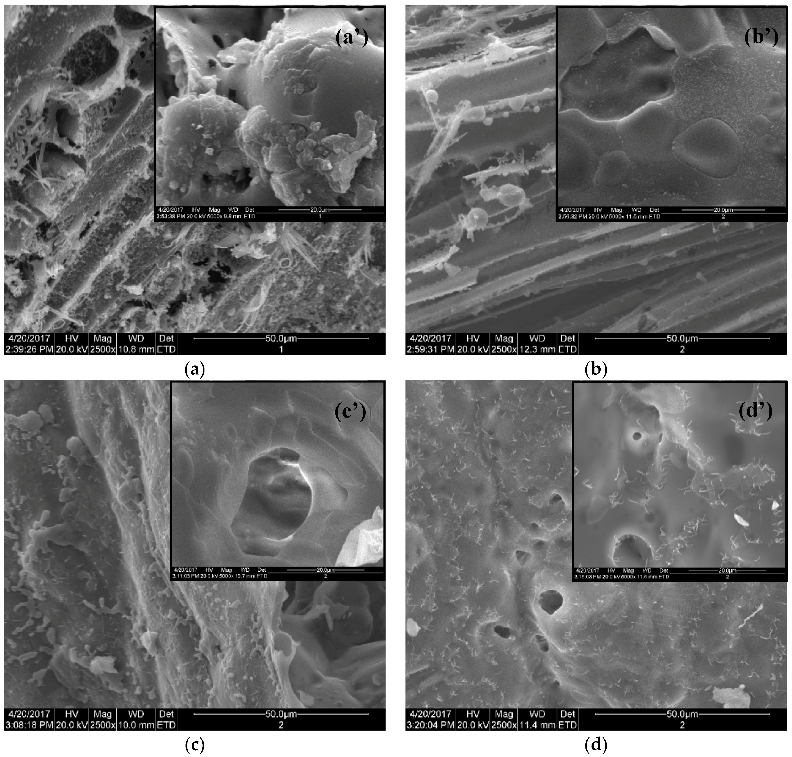 Coatings 09 00479 g004