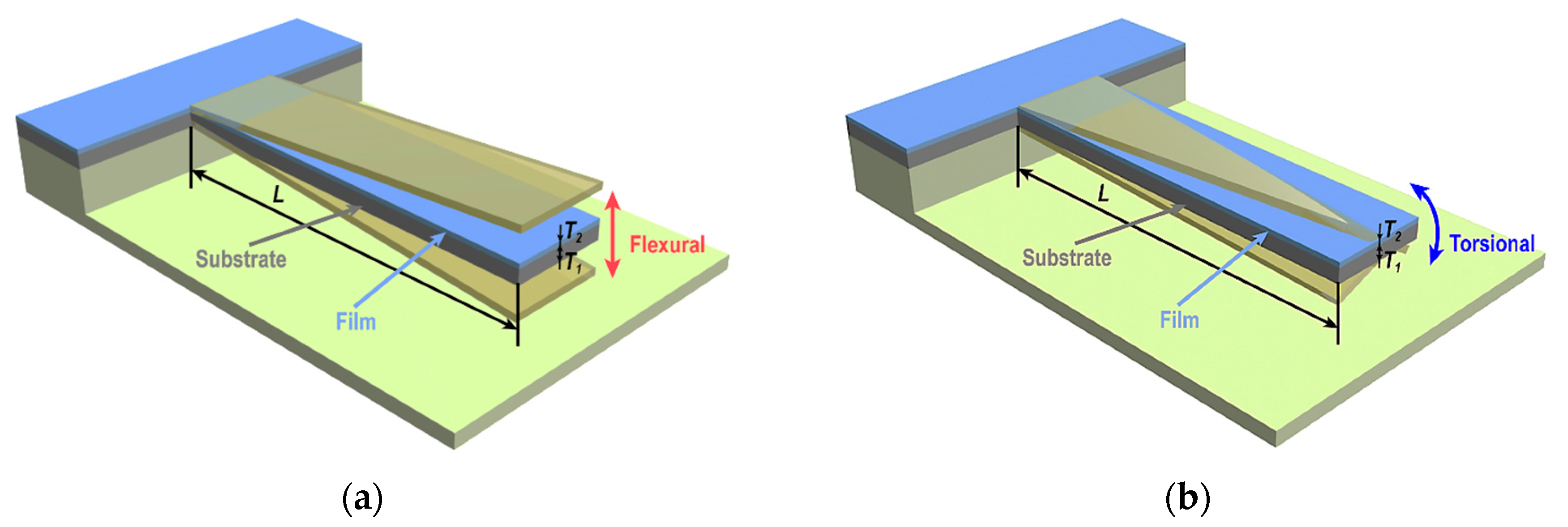 Coatings 09 00486 g001