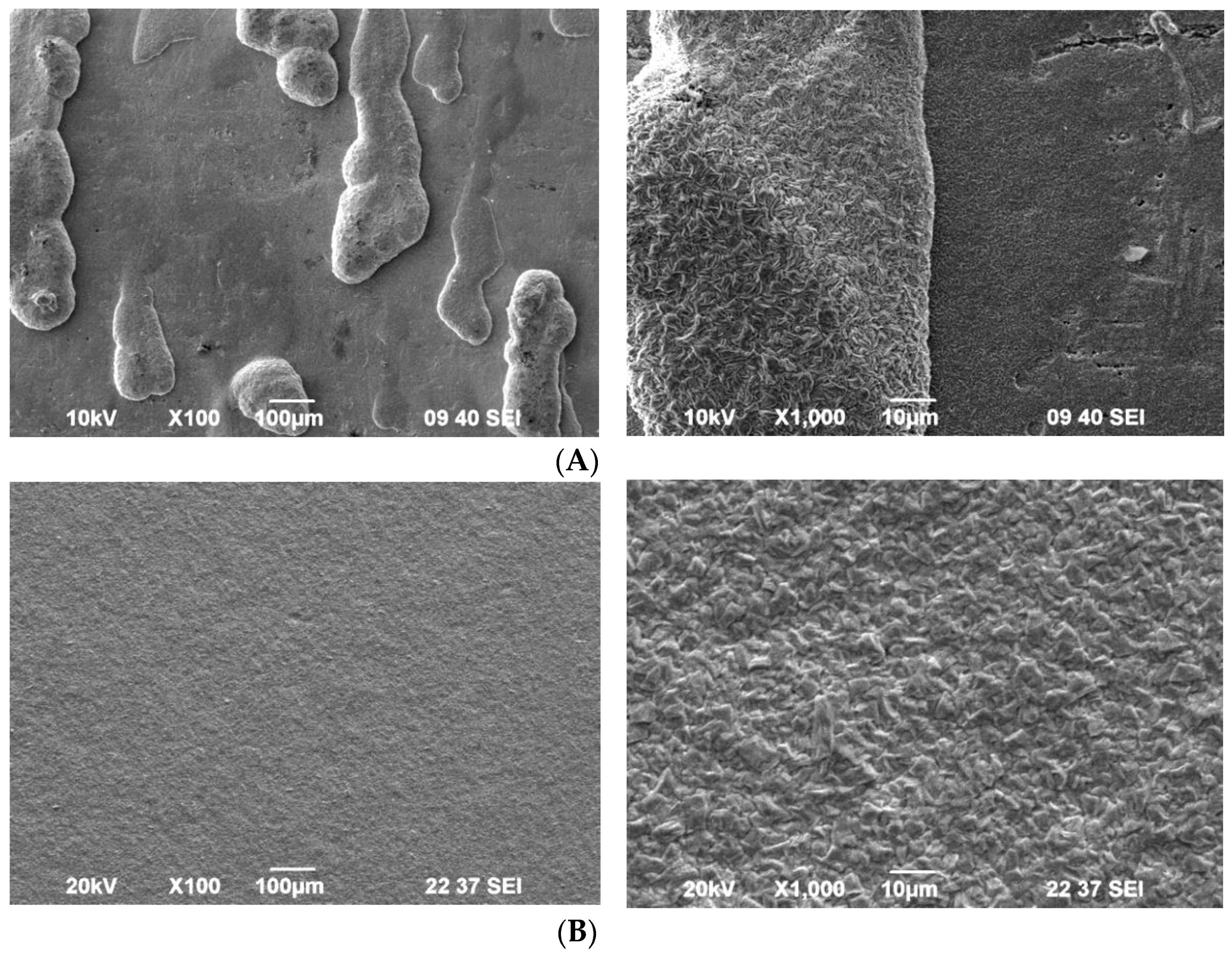 Coatings 09 00487 g002