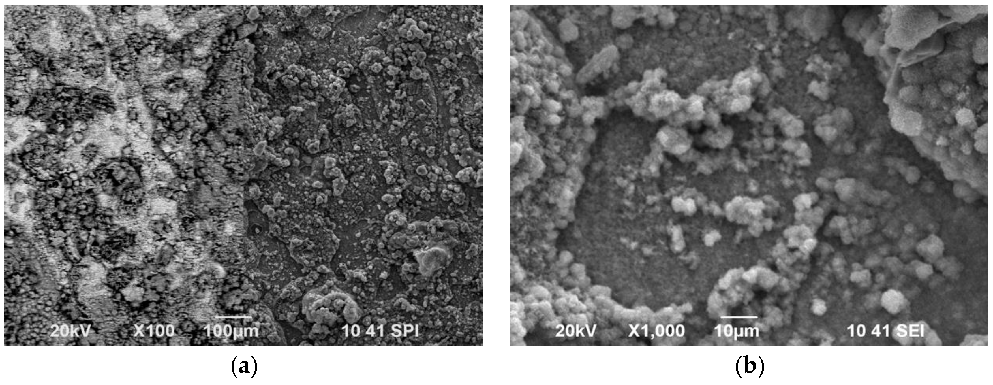 Coatings 09 00487 g009