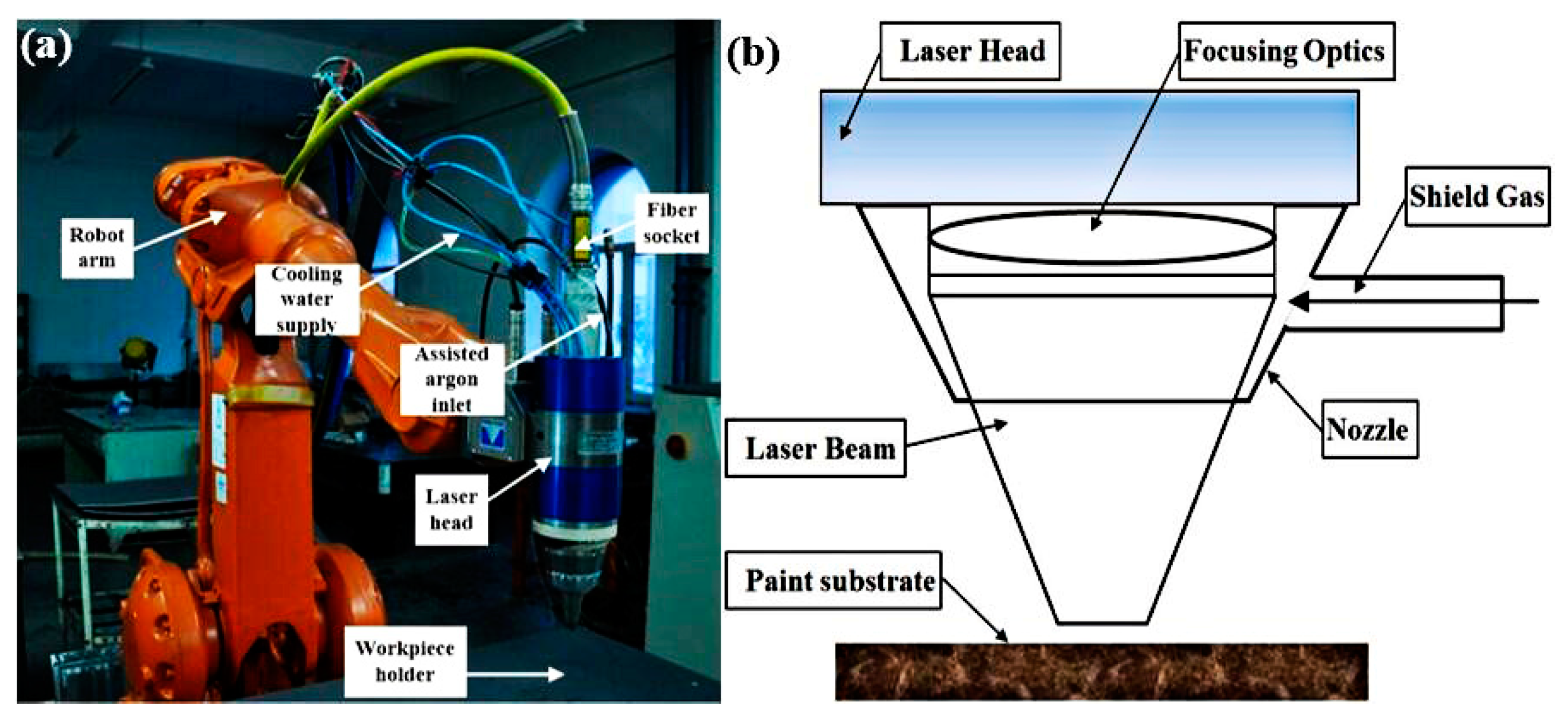 Coatings 09 00488 g001