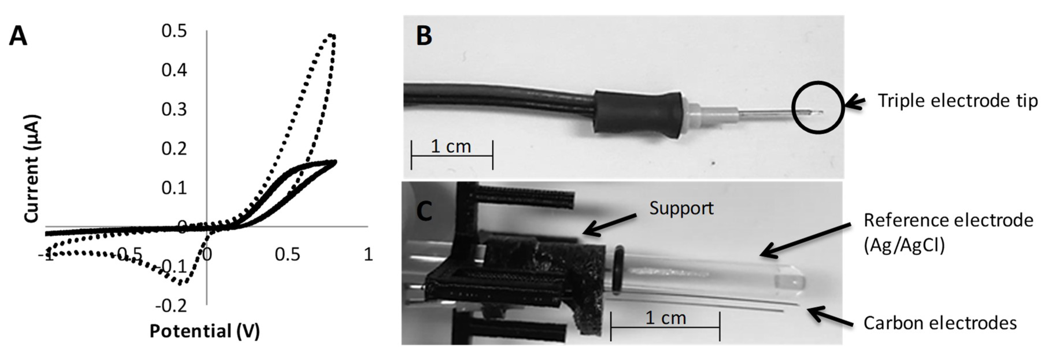 Coatings 09 00496 g002