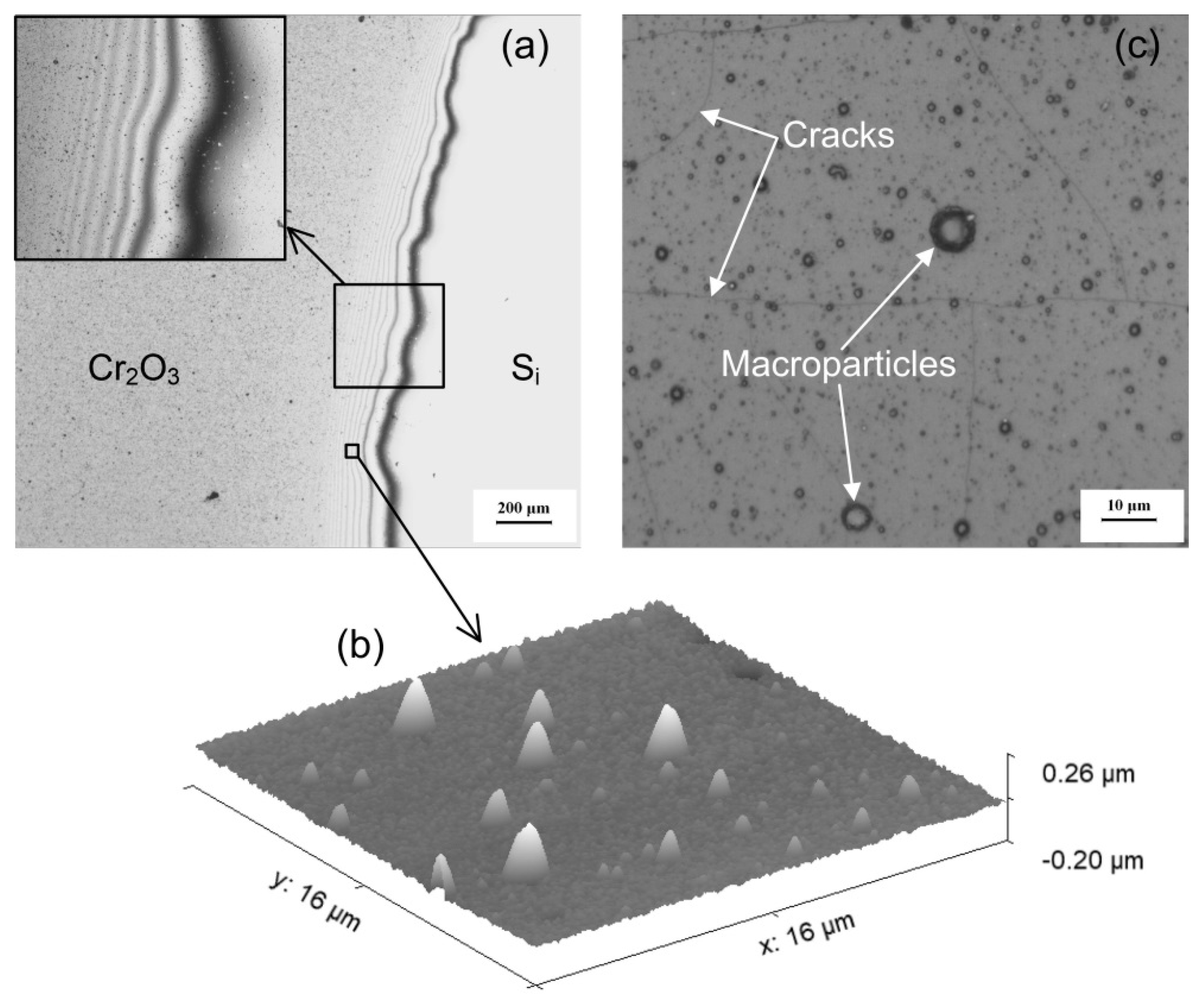 Coatings 09 00500 g001