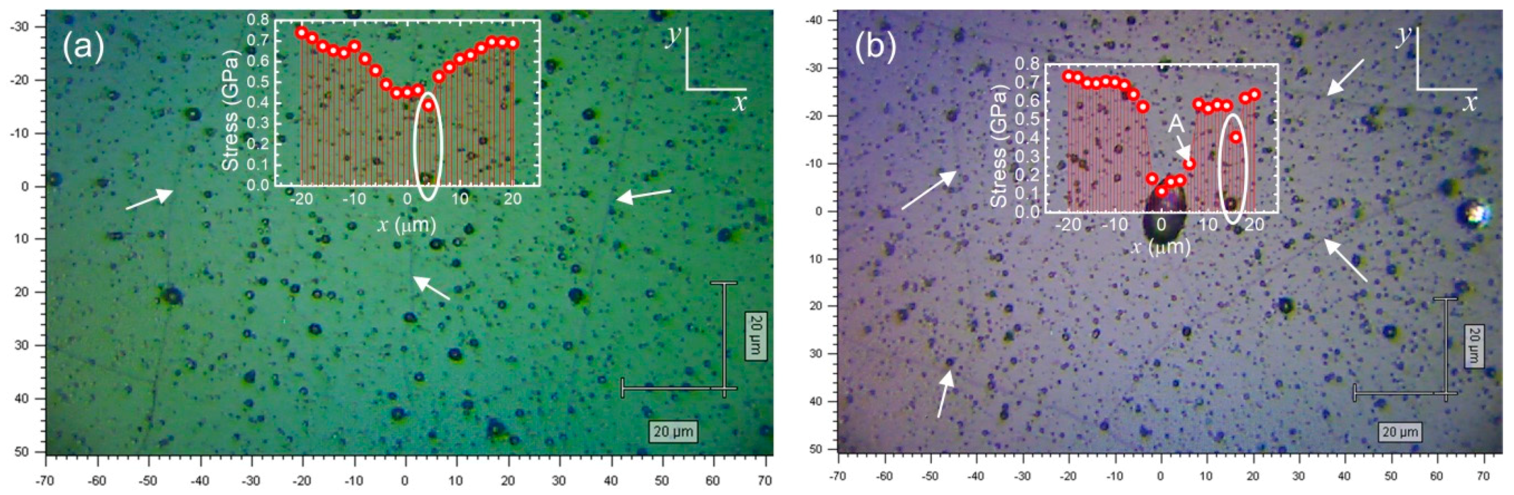 Coatings 09 00500 g005