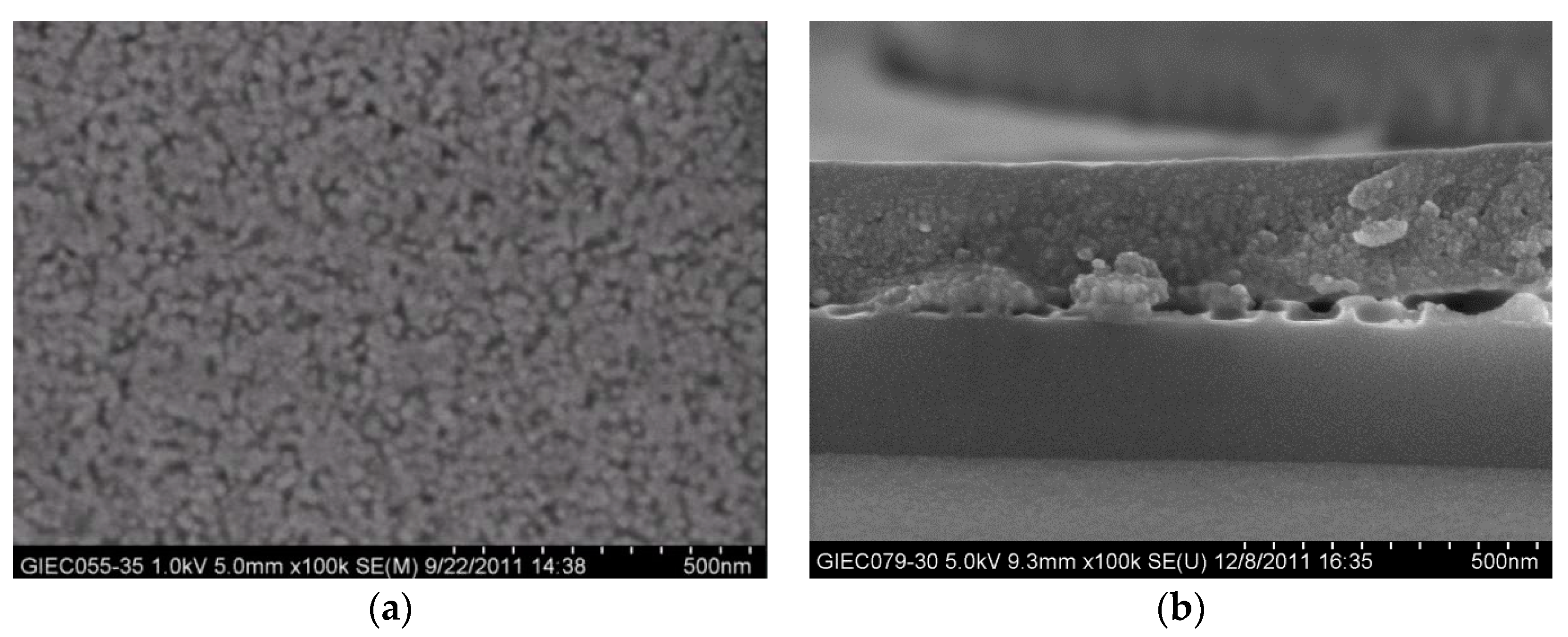 Coatings 09 00502 g002 Coatings 09 00502 g002